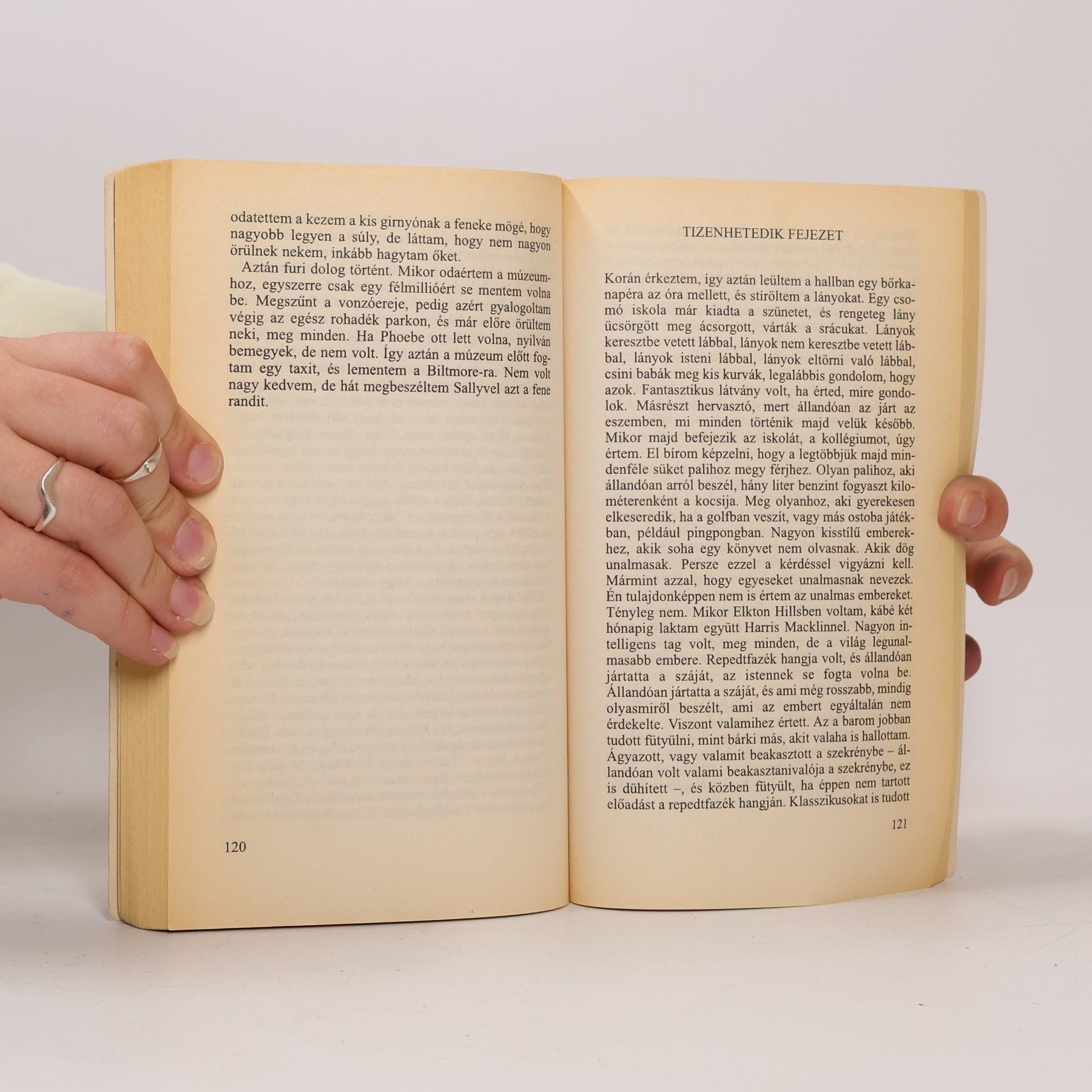 J. D. Salinger Európa Diákkönyvtár: Zabhegyező