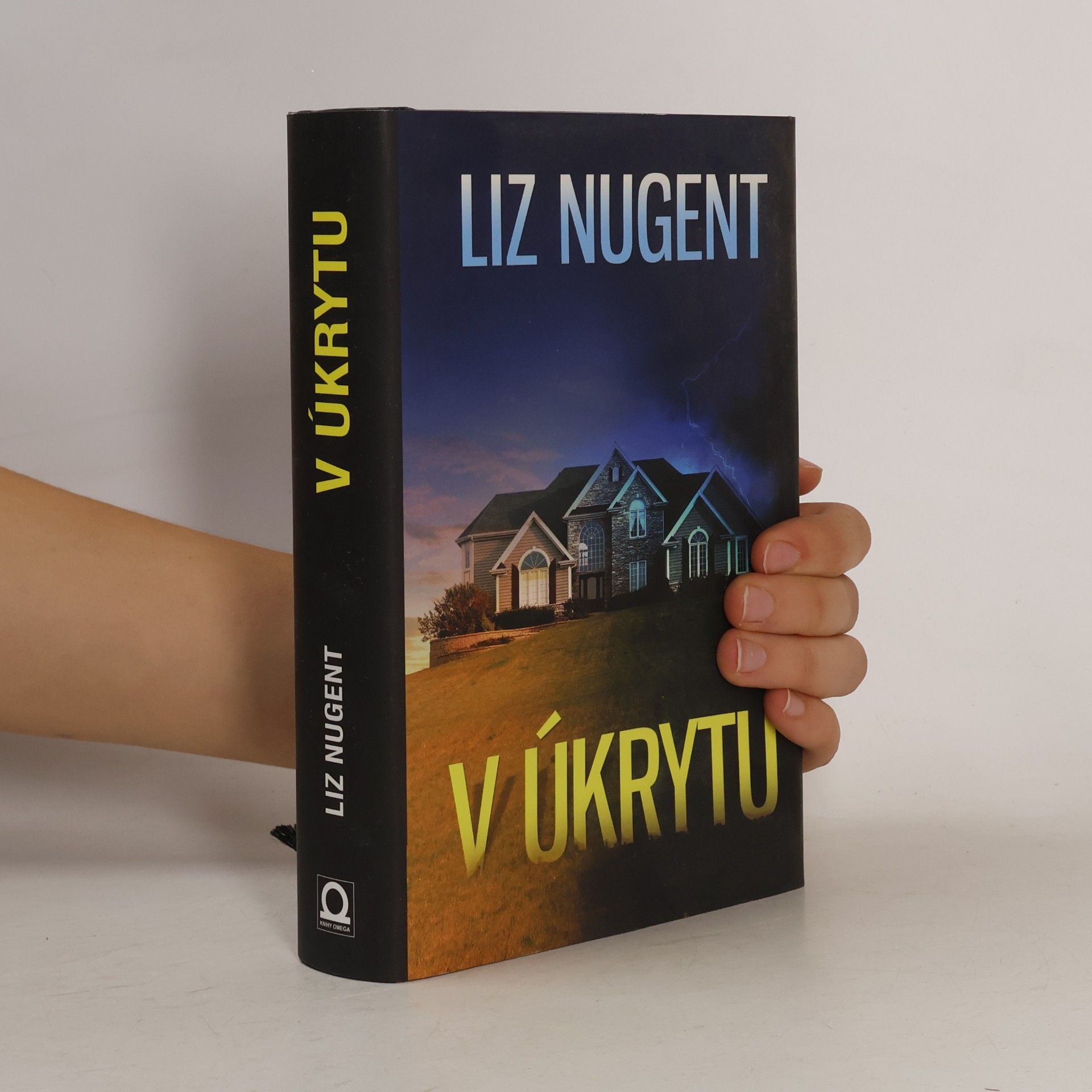 Liz Nugent V úkrytu