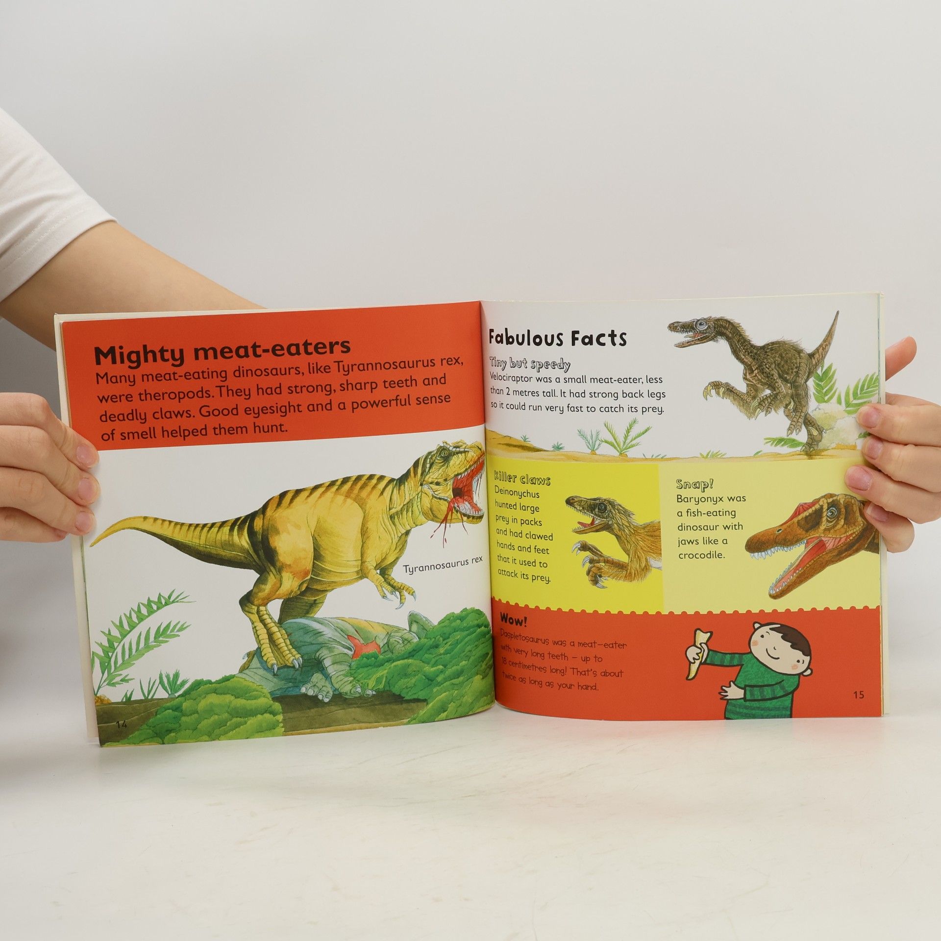LADYBIRD BOOKS First Fabulous Facts Dinosaurs