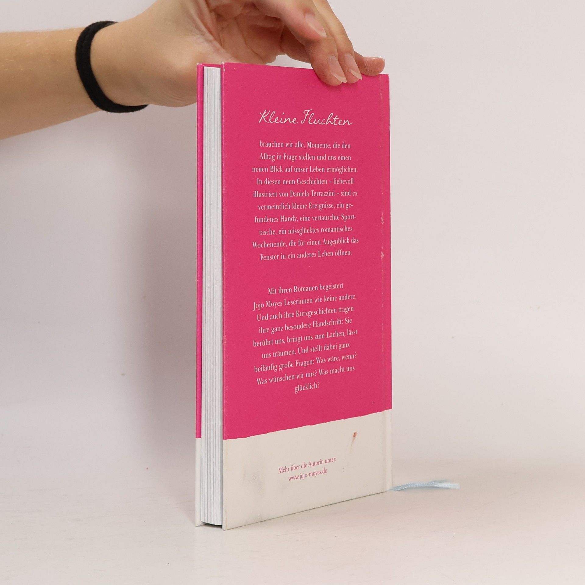 Jojo Moyes Kleine Fluchten