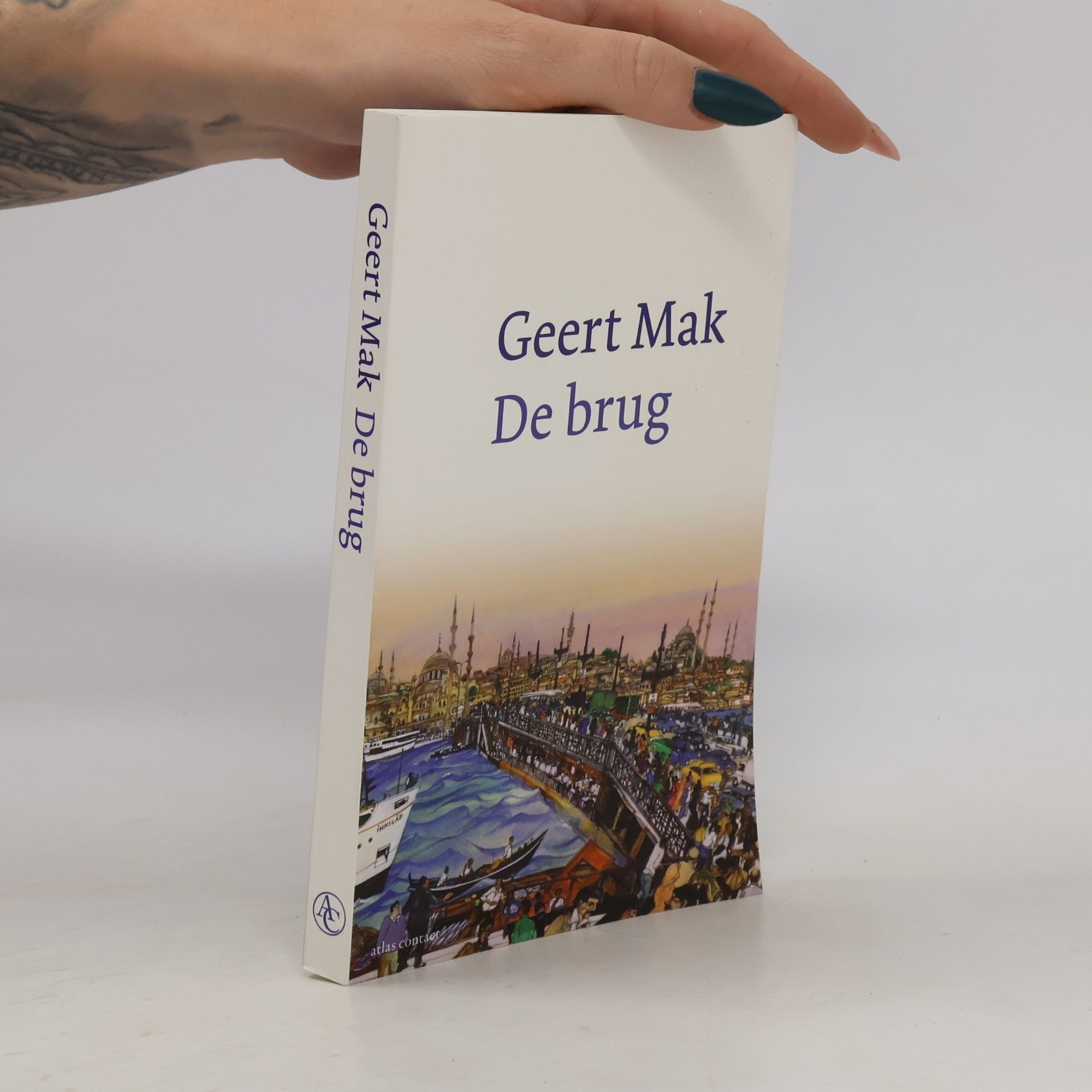 Geert Mak De brug