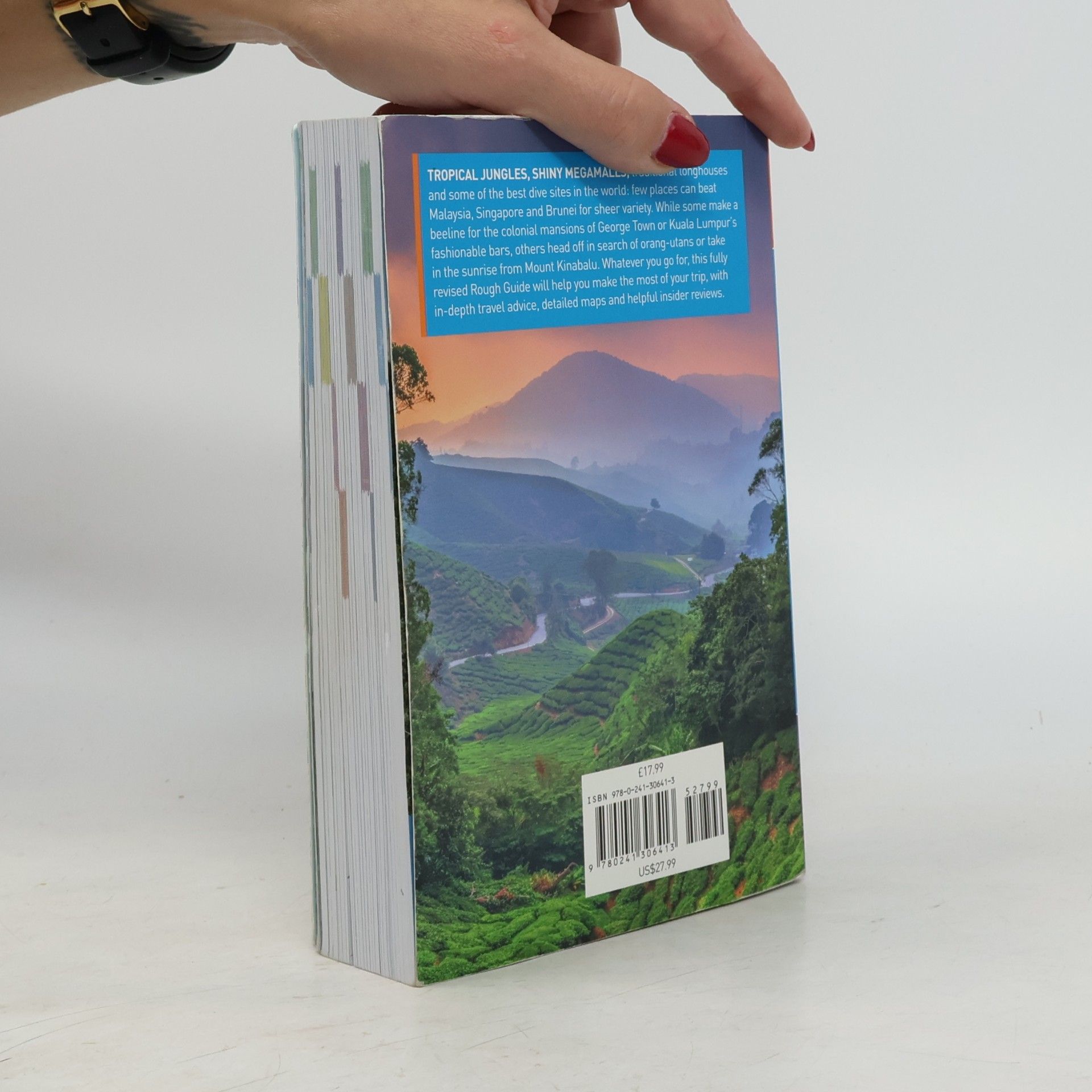 Rough Guides The Rough Guide to Malaysia, Singapore & Brunei