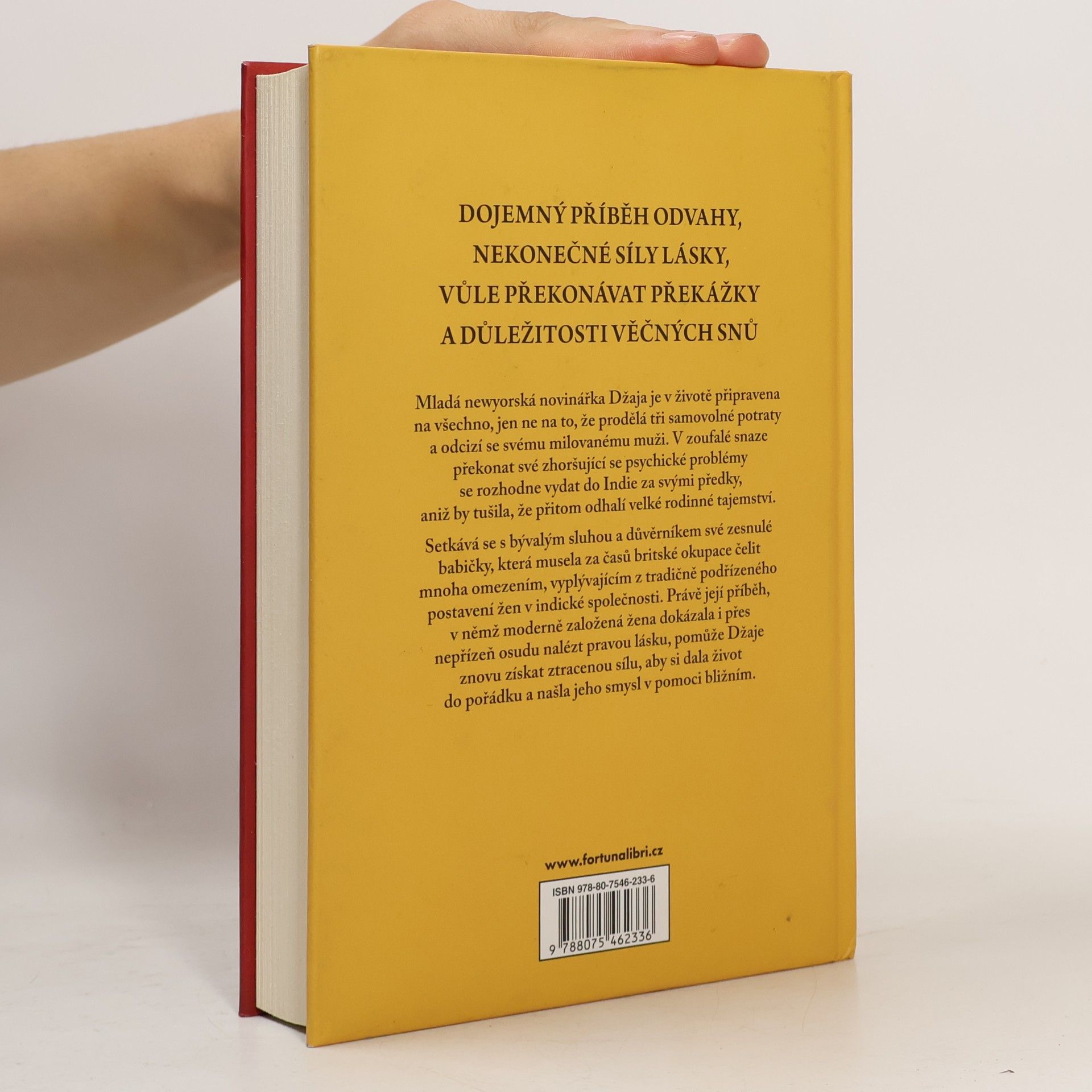 Sejal Badani Síla dávných tajemství