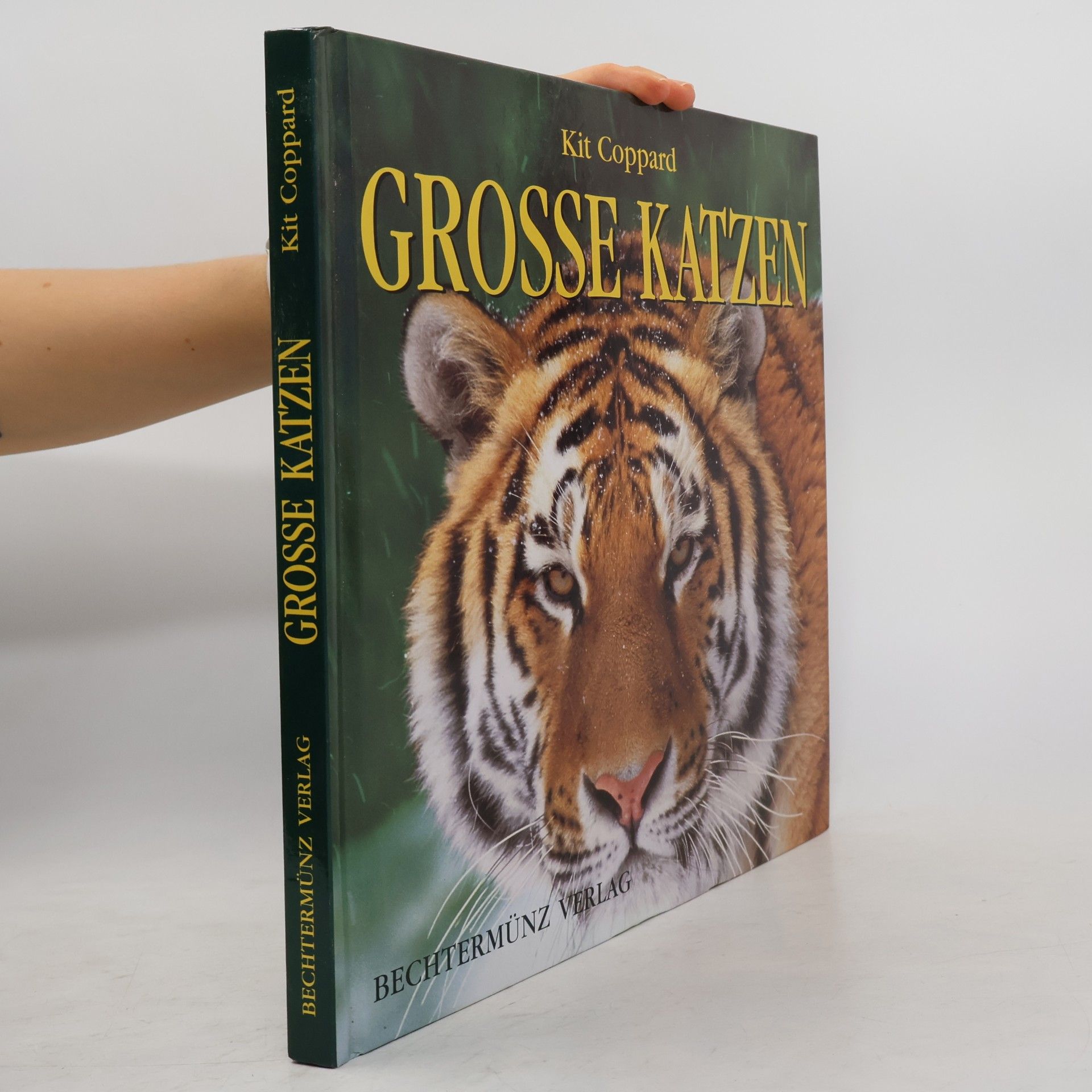 Kit Coppard Grosse Katzen