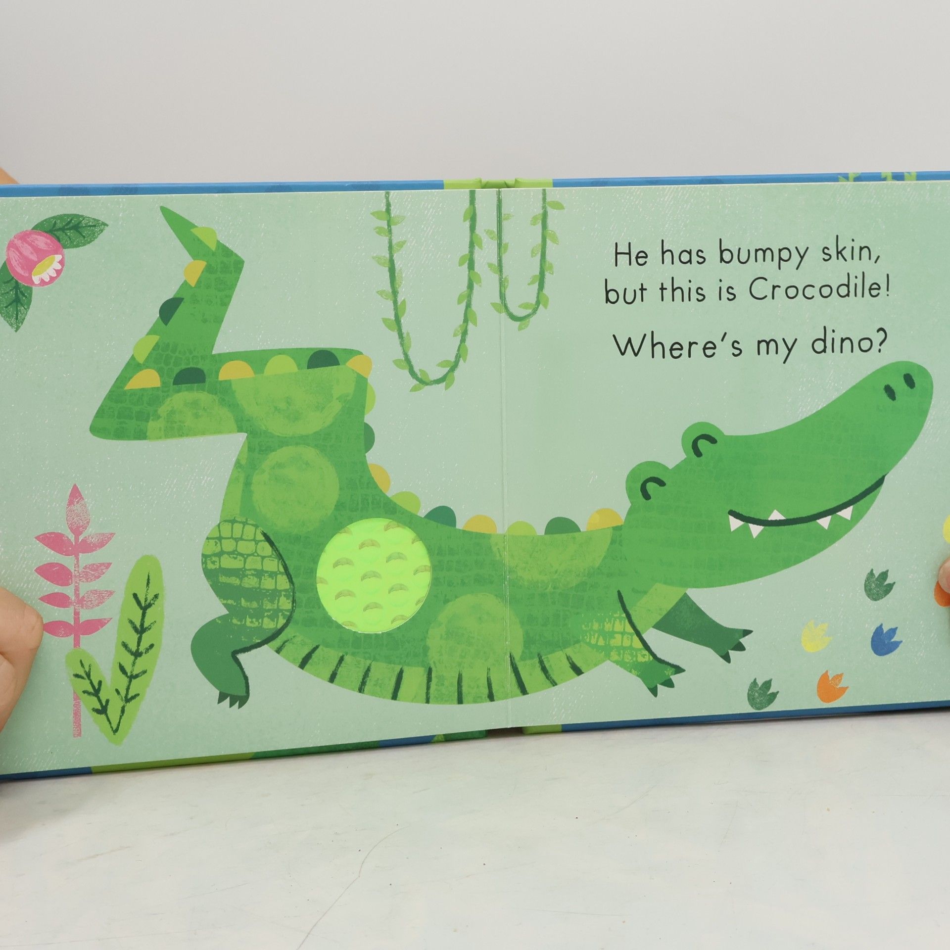 Kate McLelland Where's My Dinosaur?