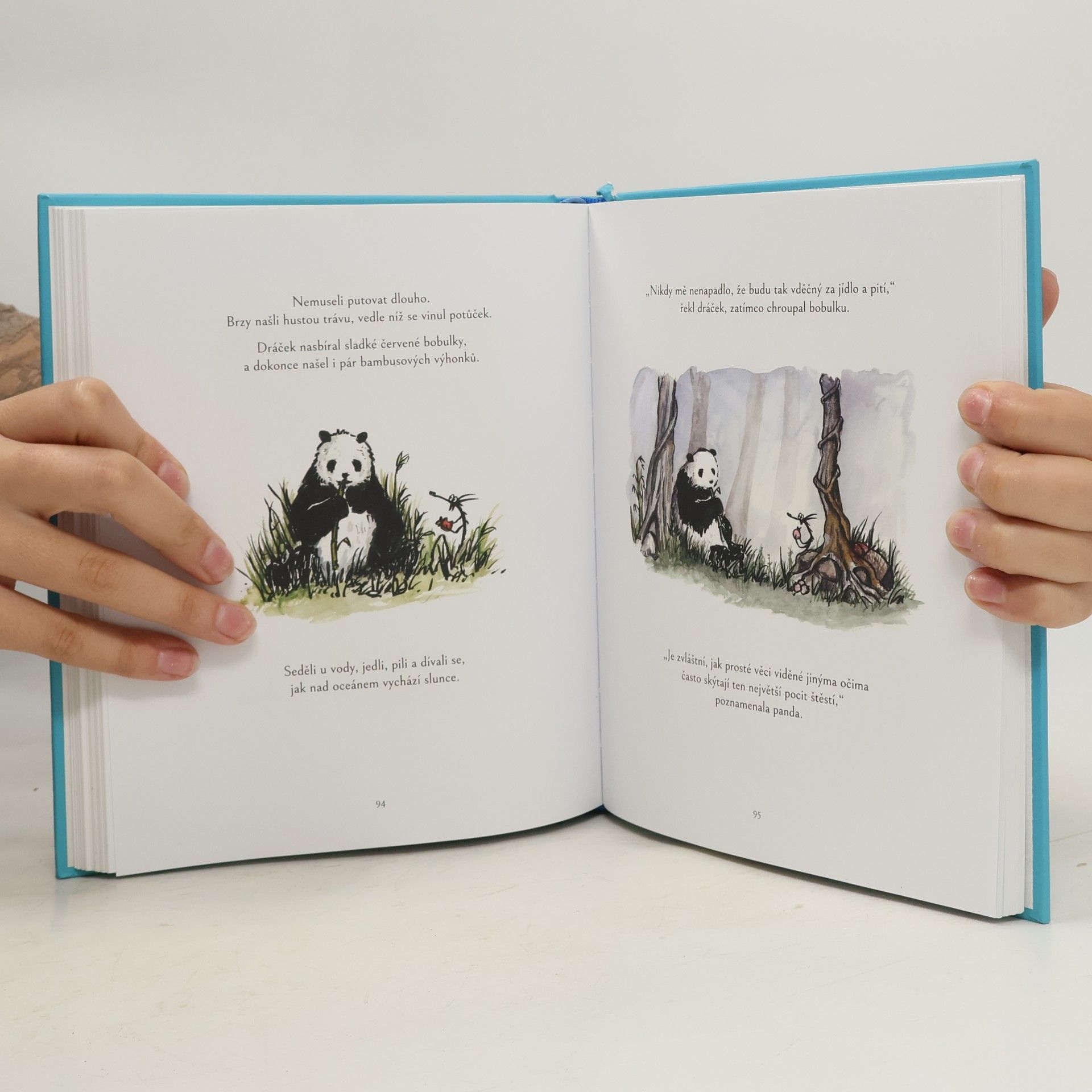James Norbury Cesta. Panda a dráček