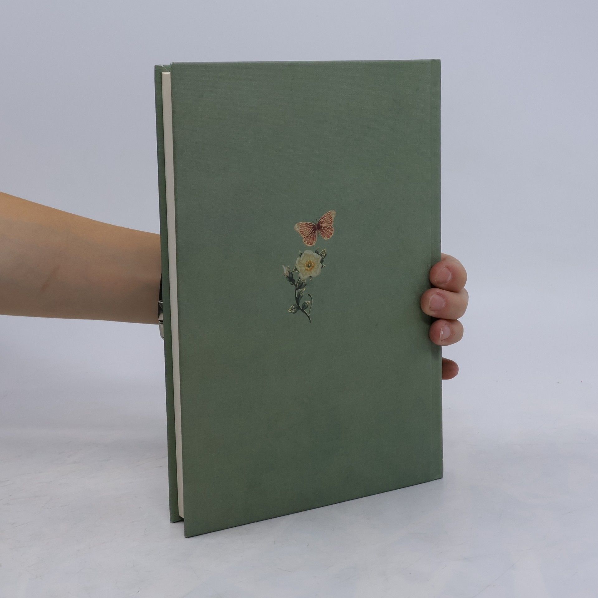 Jane Austen Ragione e sentimento