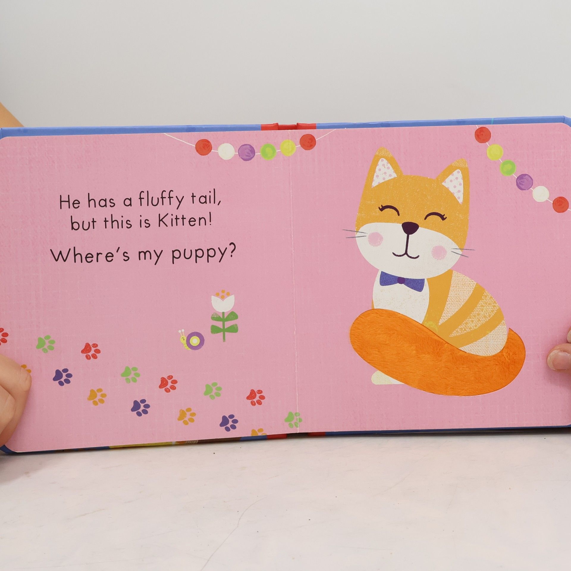 Becky Davies Where's My Puppy?