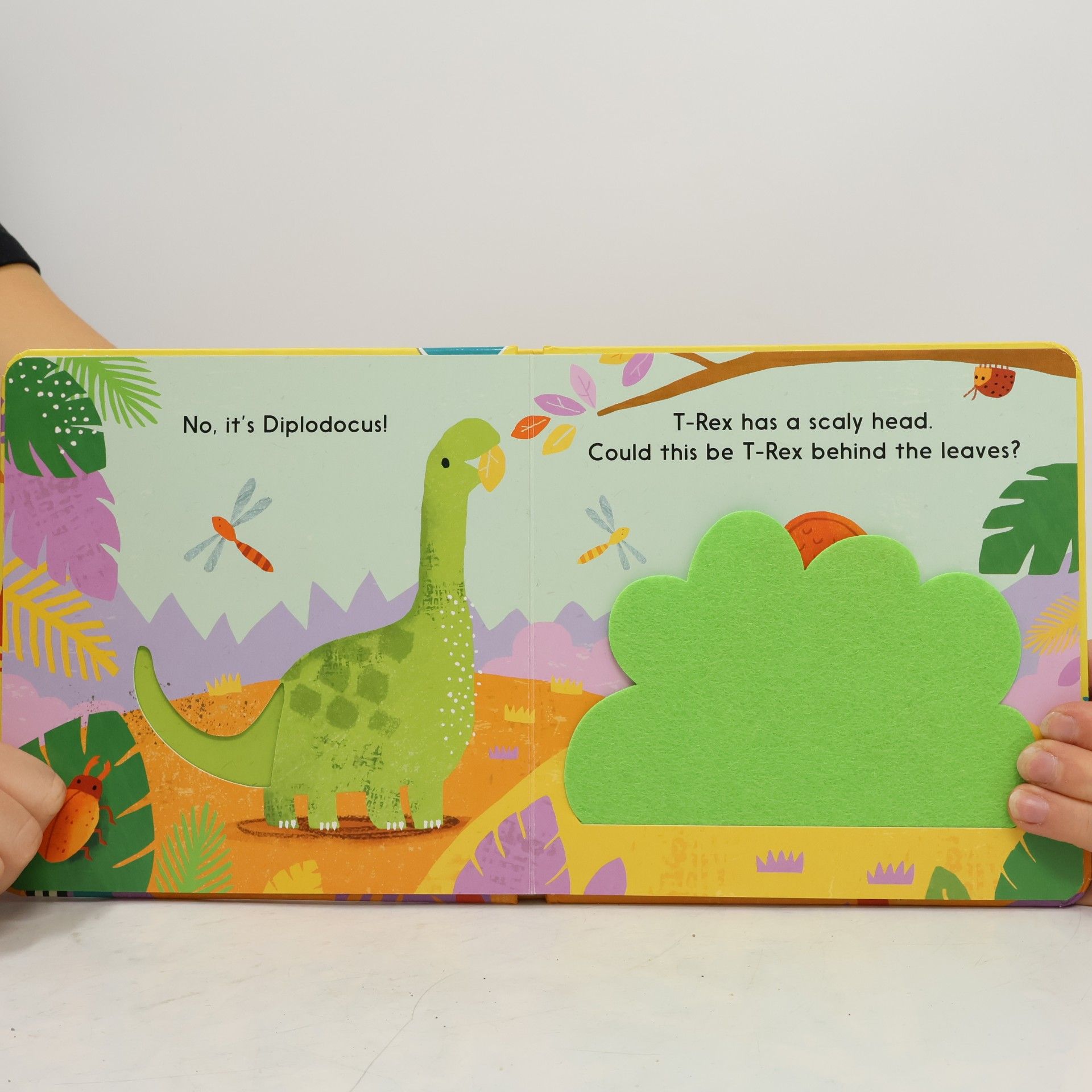 Little Tiger Press Group Let's Find the Dinosaur