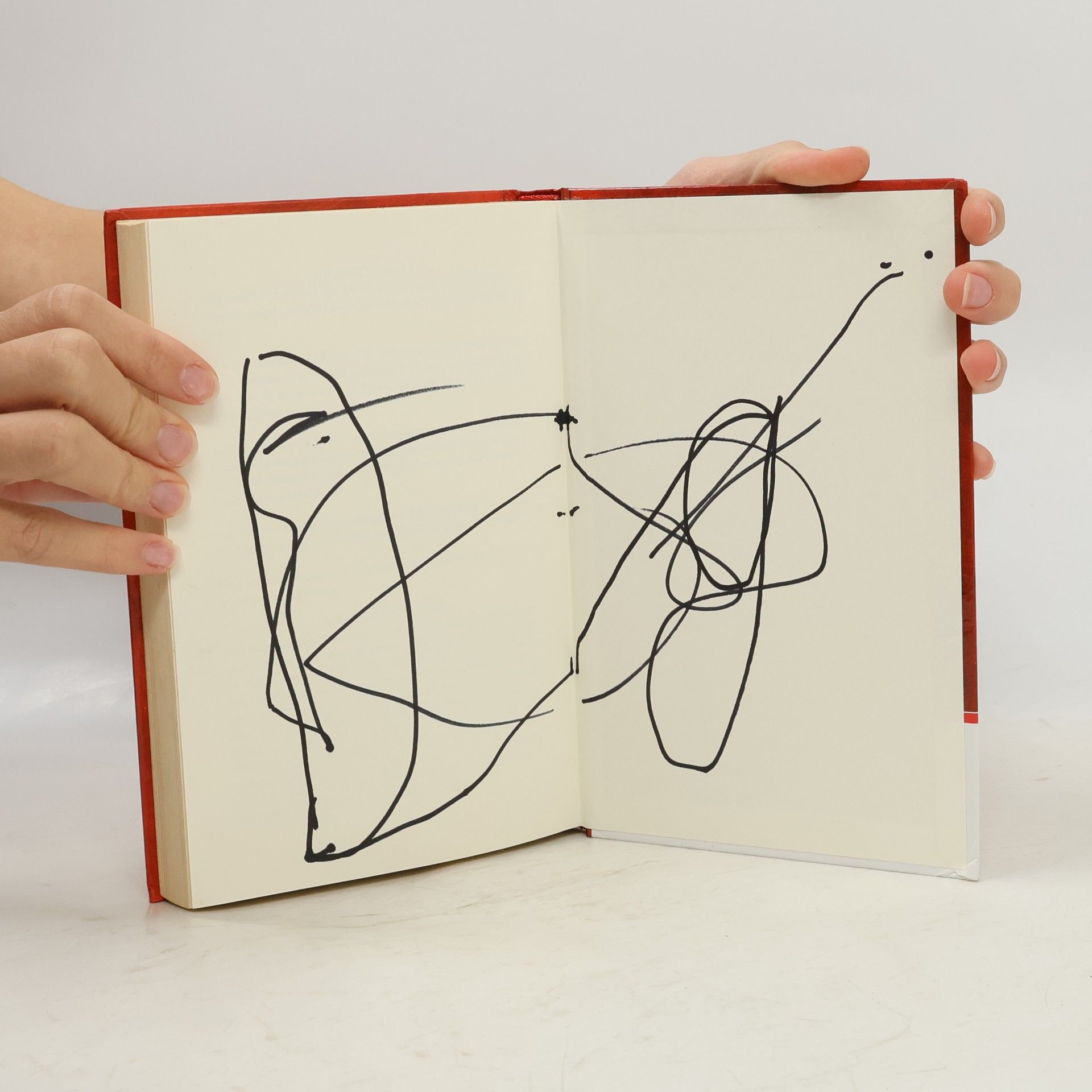 Jeff Kinney Het leven van een Loser