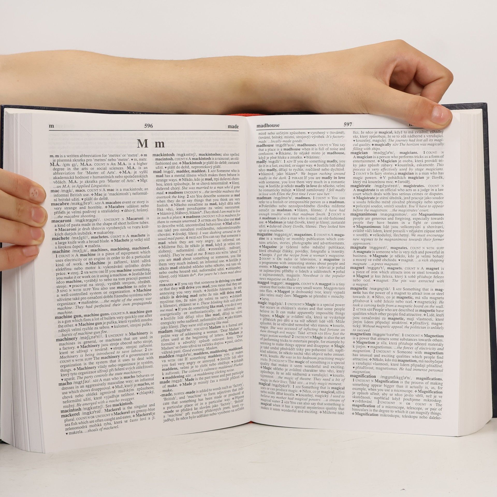 Autorenkollektiv Anglicko-český výkladový slovník