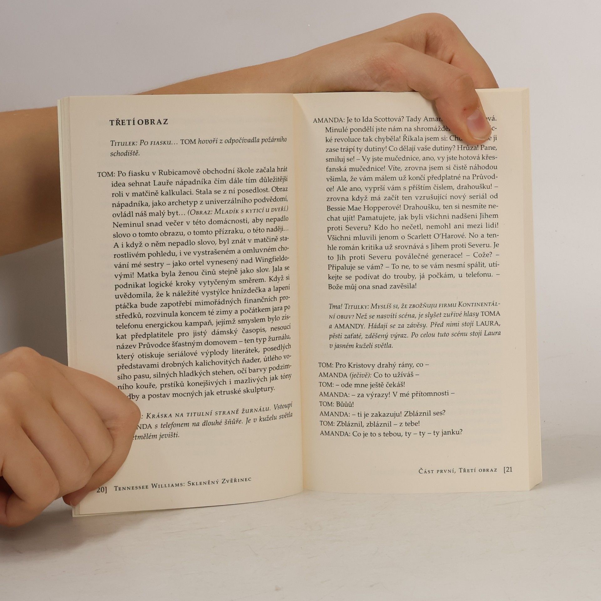Tennessee Williams Skleněný zvěřinec
