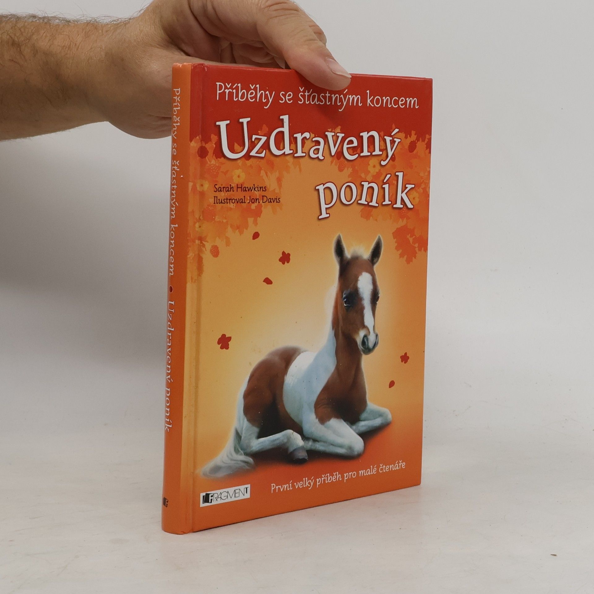 Sarah Hawkins Uzdravený poník