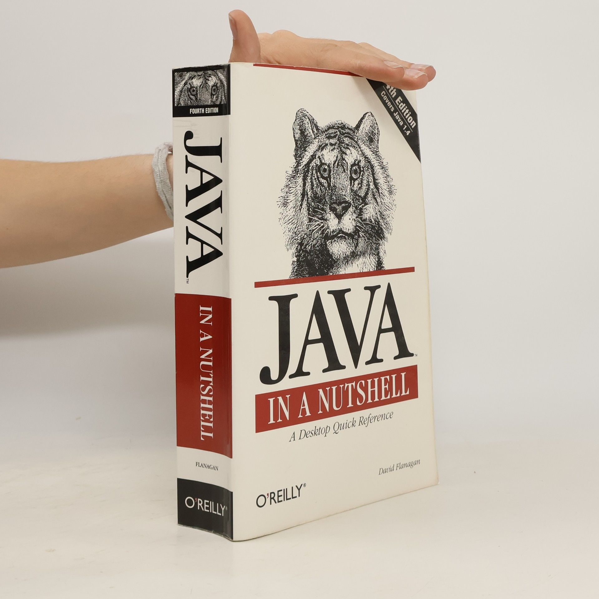 David Flanagan Java in a nutshell