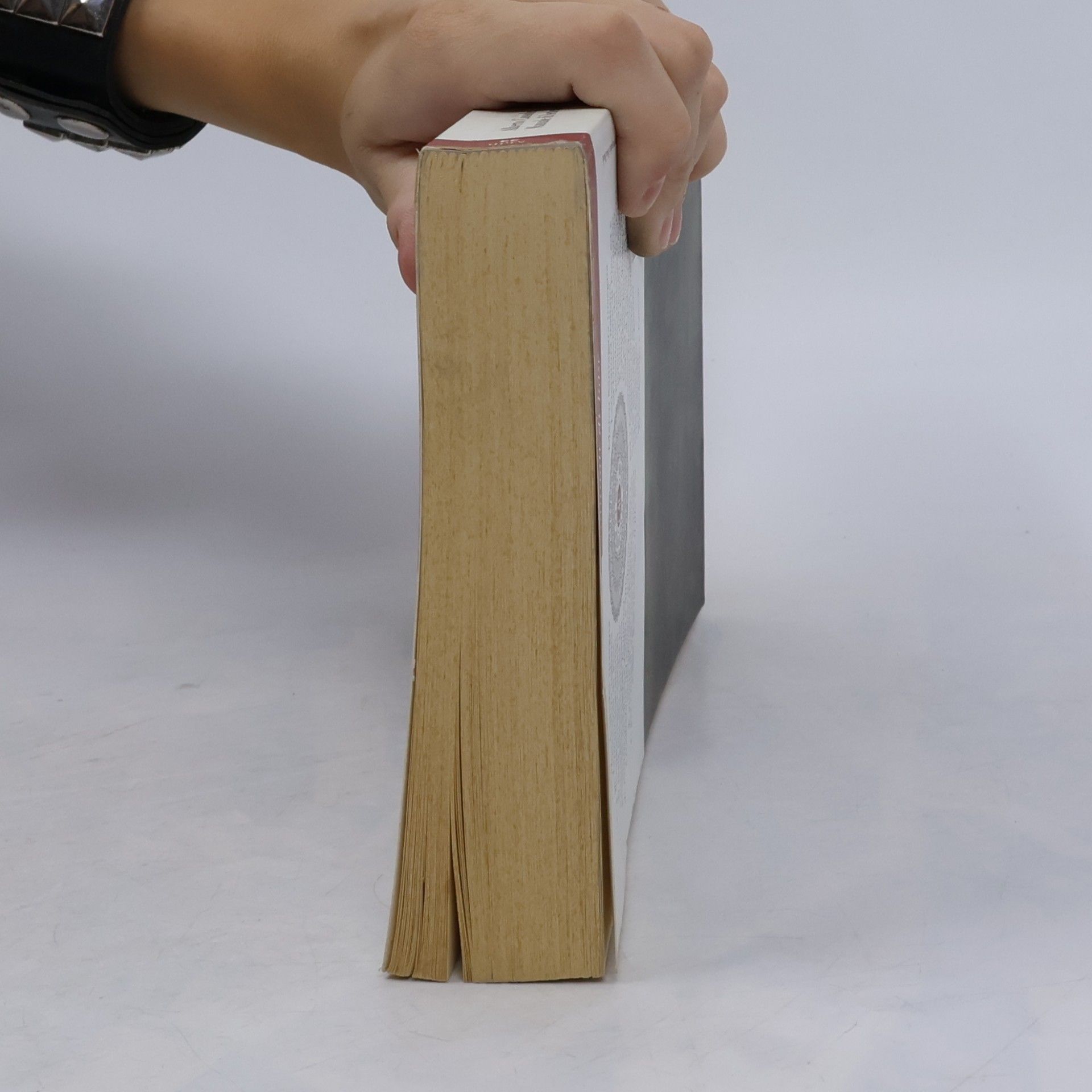 Alberto Casadei Manuale di letteratura italiana medievale e moderna