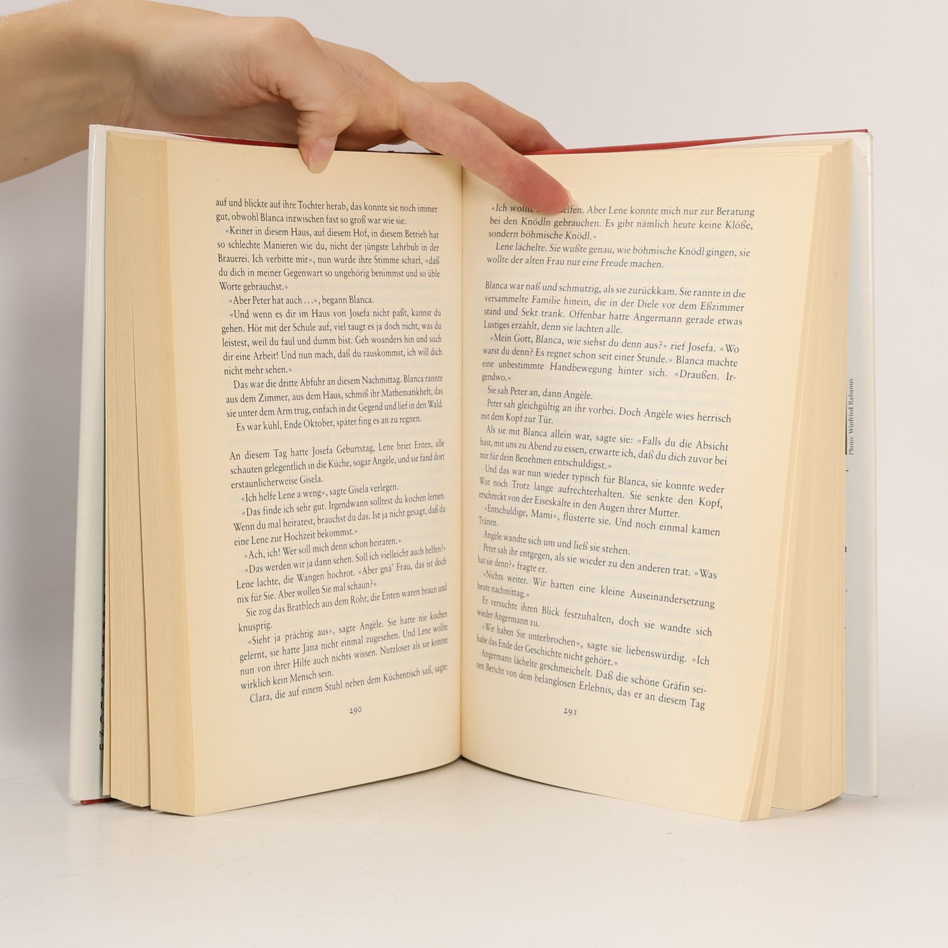 Utta Danella Wo hohe Türme sind
