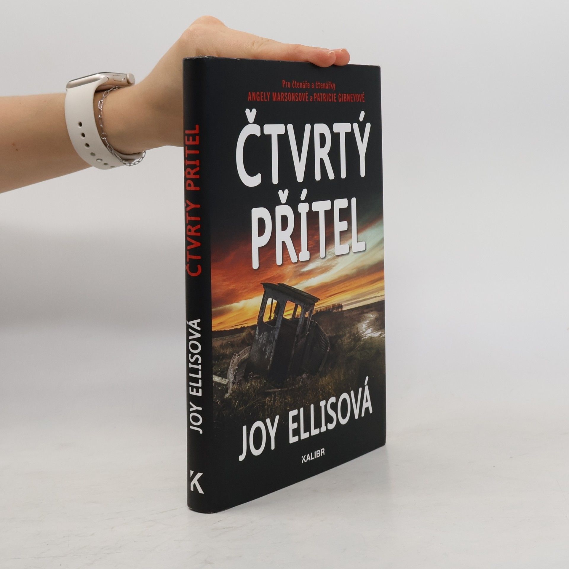 Joy Ellis Čtvrtý přítel