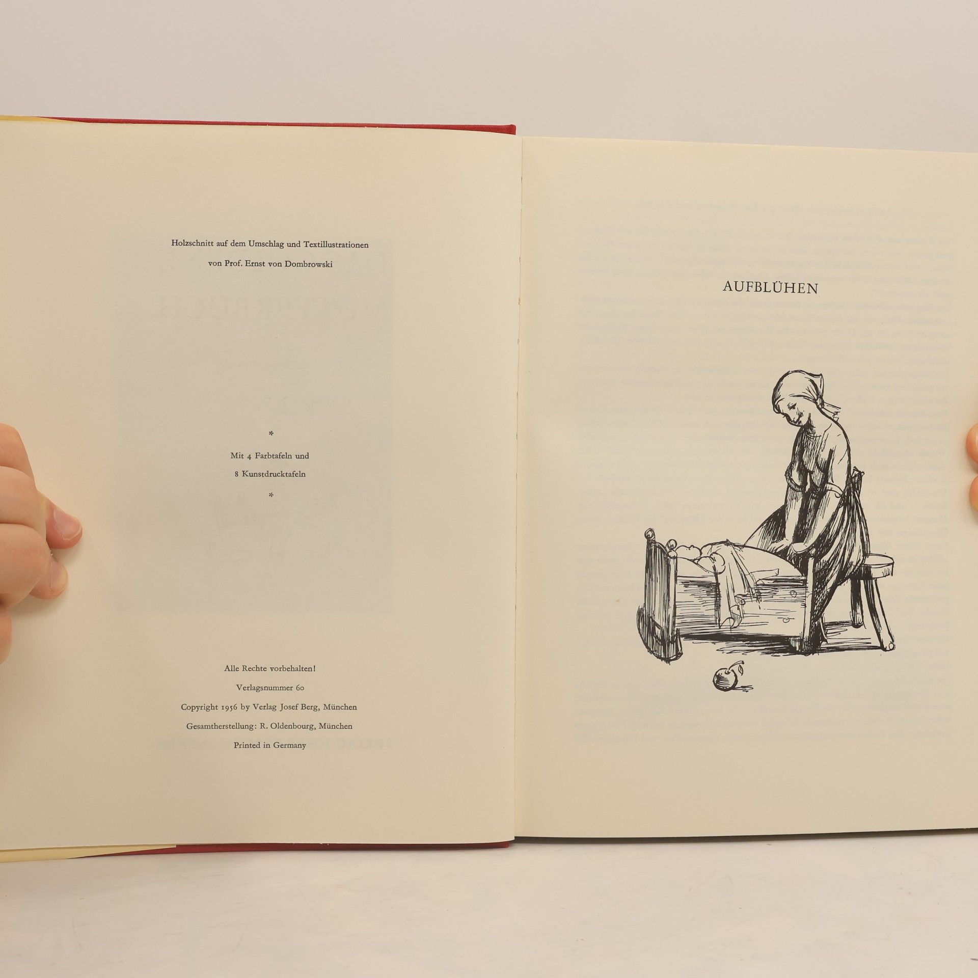 Ernst von Dombrowski Das goldene Mutterbuch