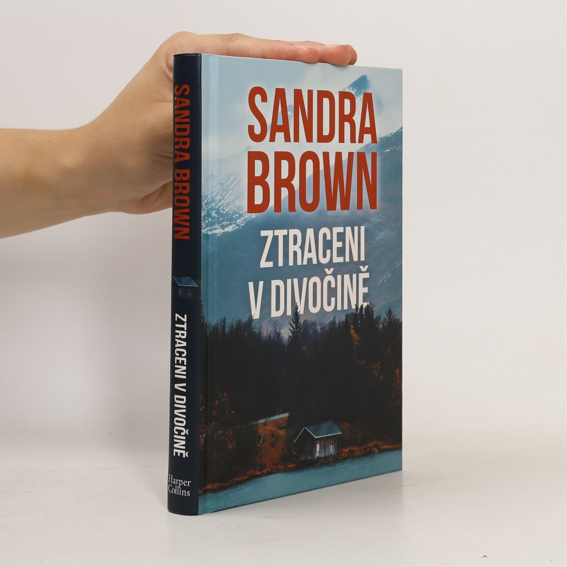 Sandra Brown Ztraceni v divočině