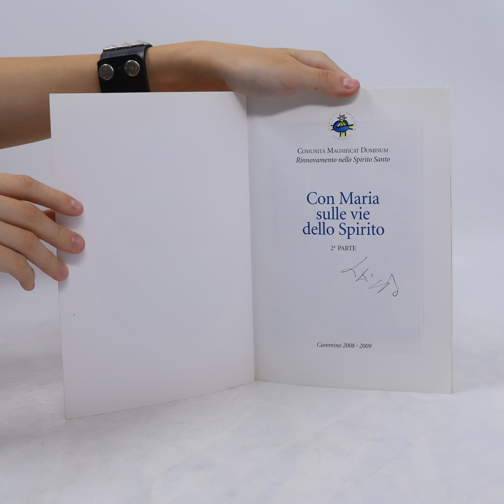 Autorenkollektiv Con Maria sulle vie dello Spirito