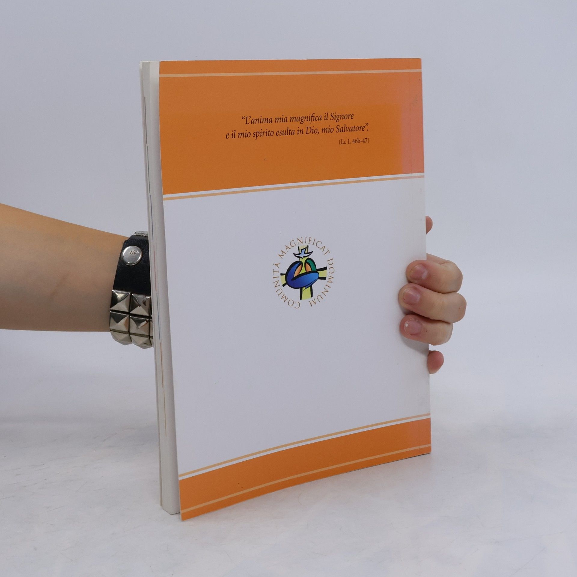 Autorenkollektiv Con Maria sulle vie dello Spirito