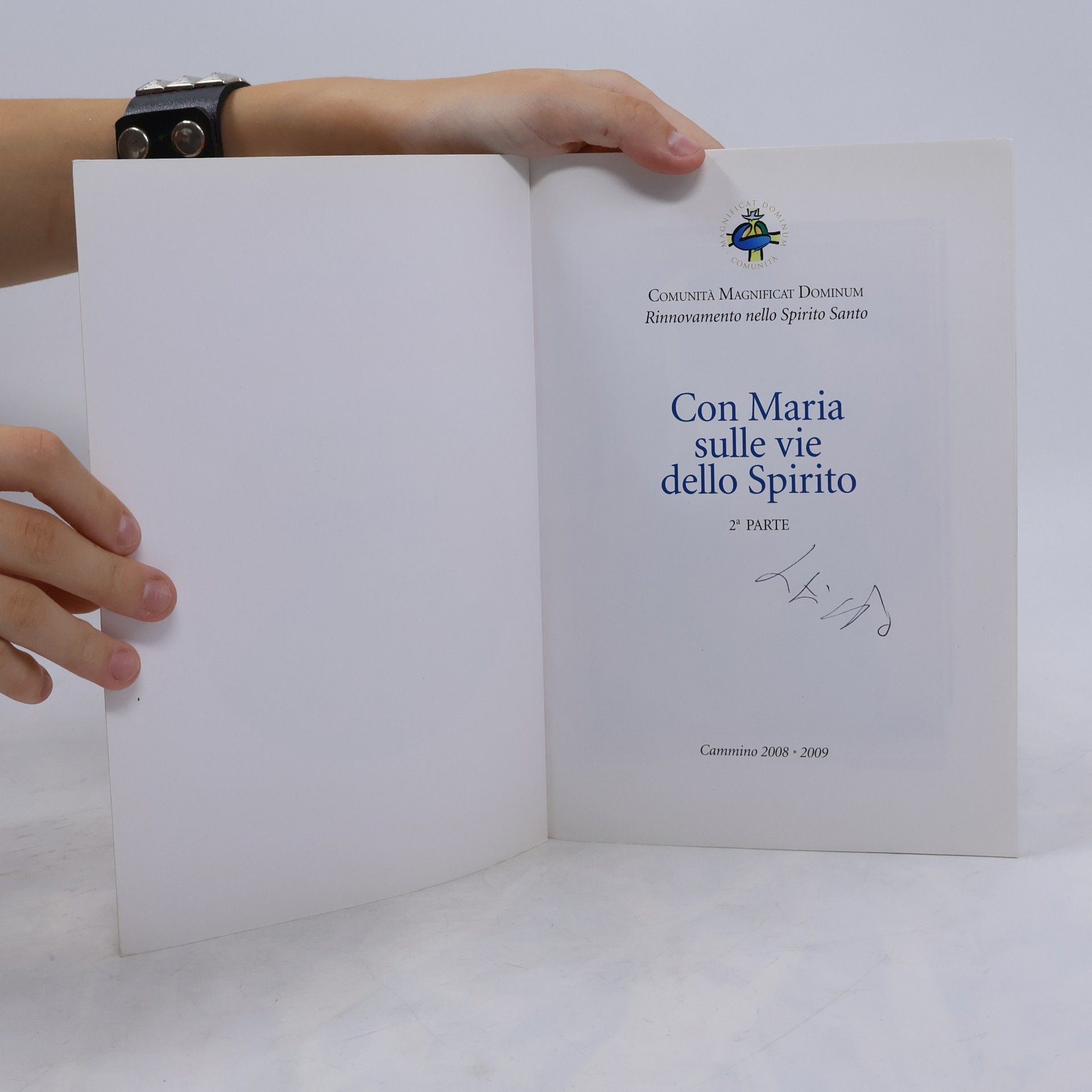Autorenkollektiv Con Maria sulle vie dello Spirito