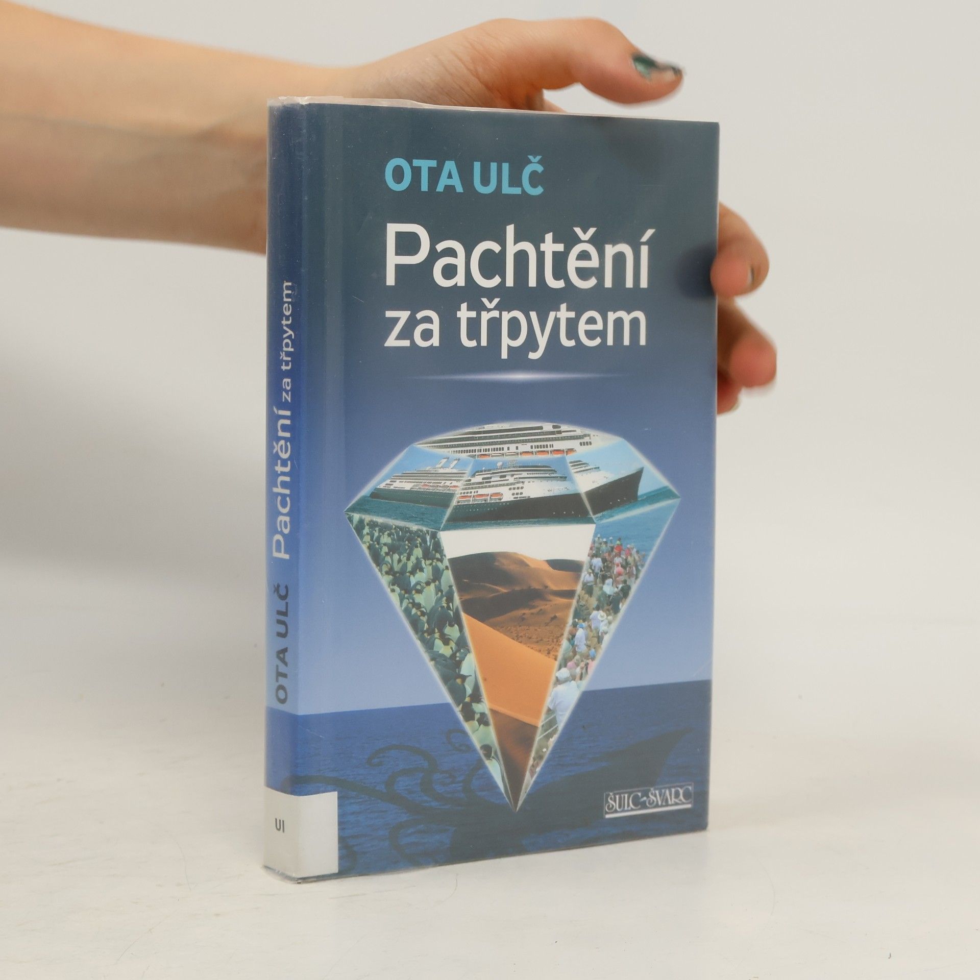 Pachtění za třpytem