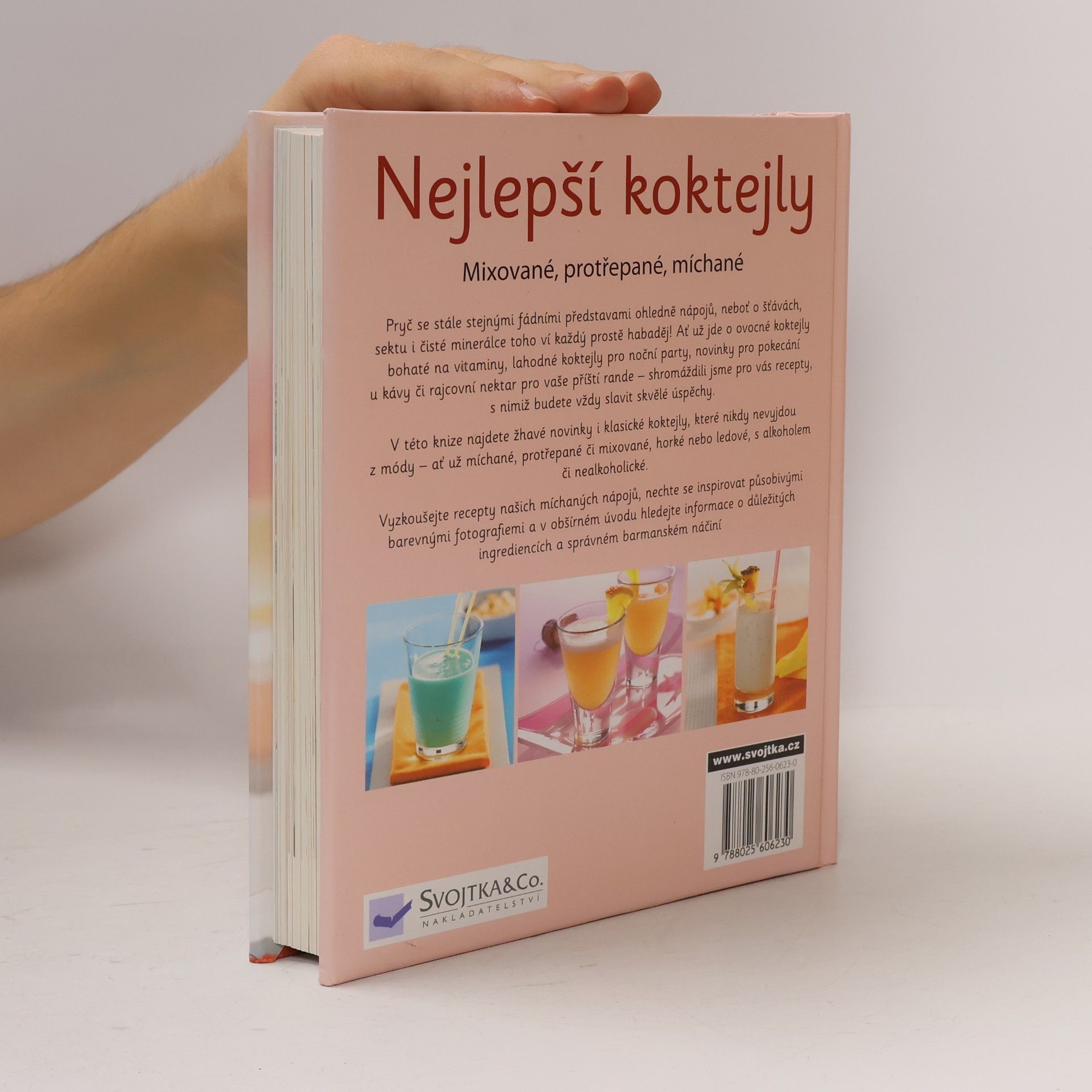 Kolektiv autorů Nejlepší koktejly