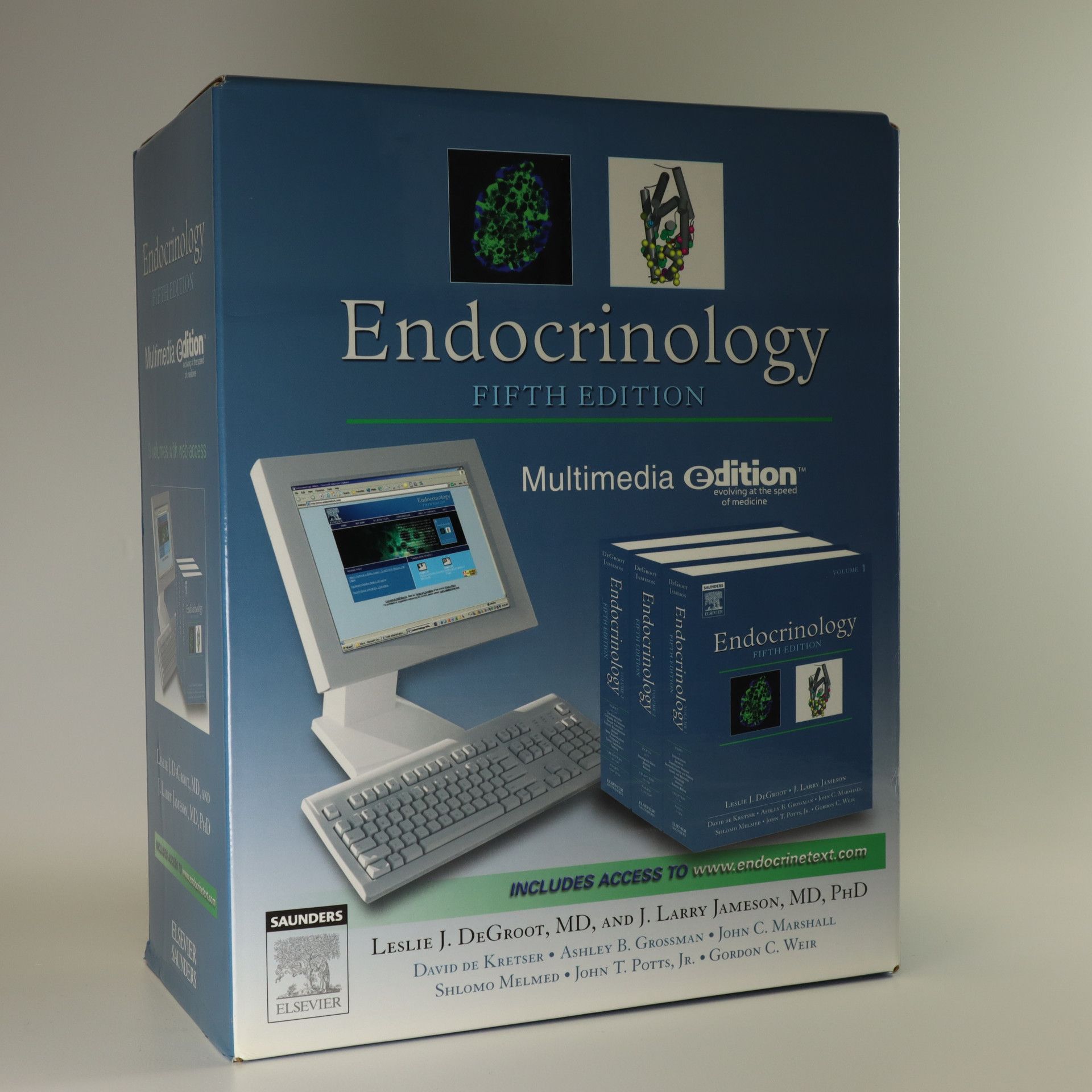 AA.VV. Endocrinology. Fifth Edition