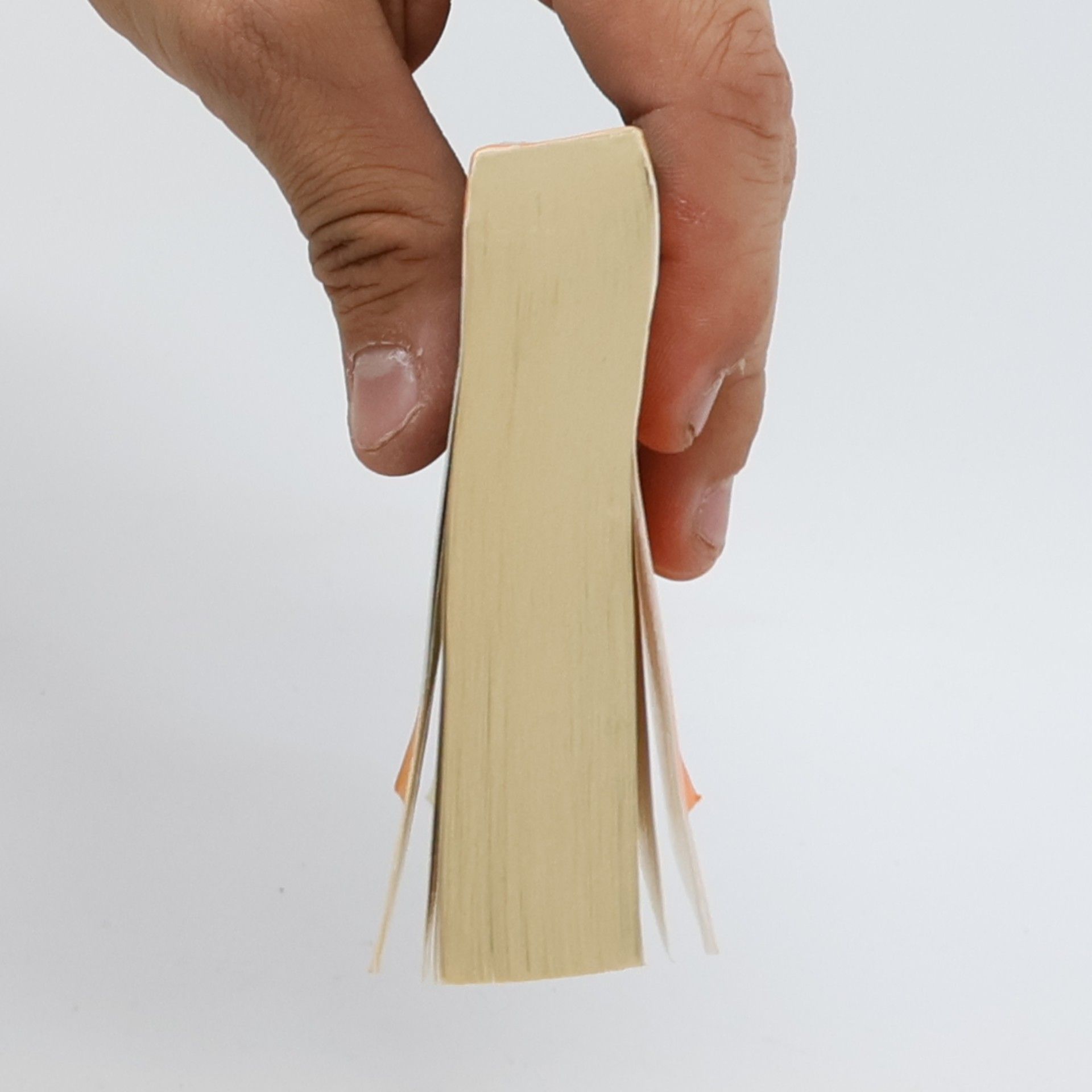 Kolektiv autorů Die Bibel. Neues Testament und Psalmen