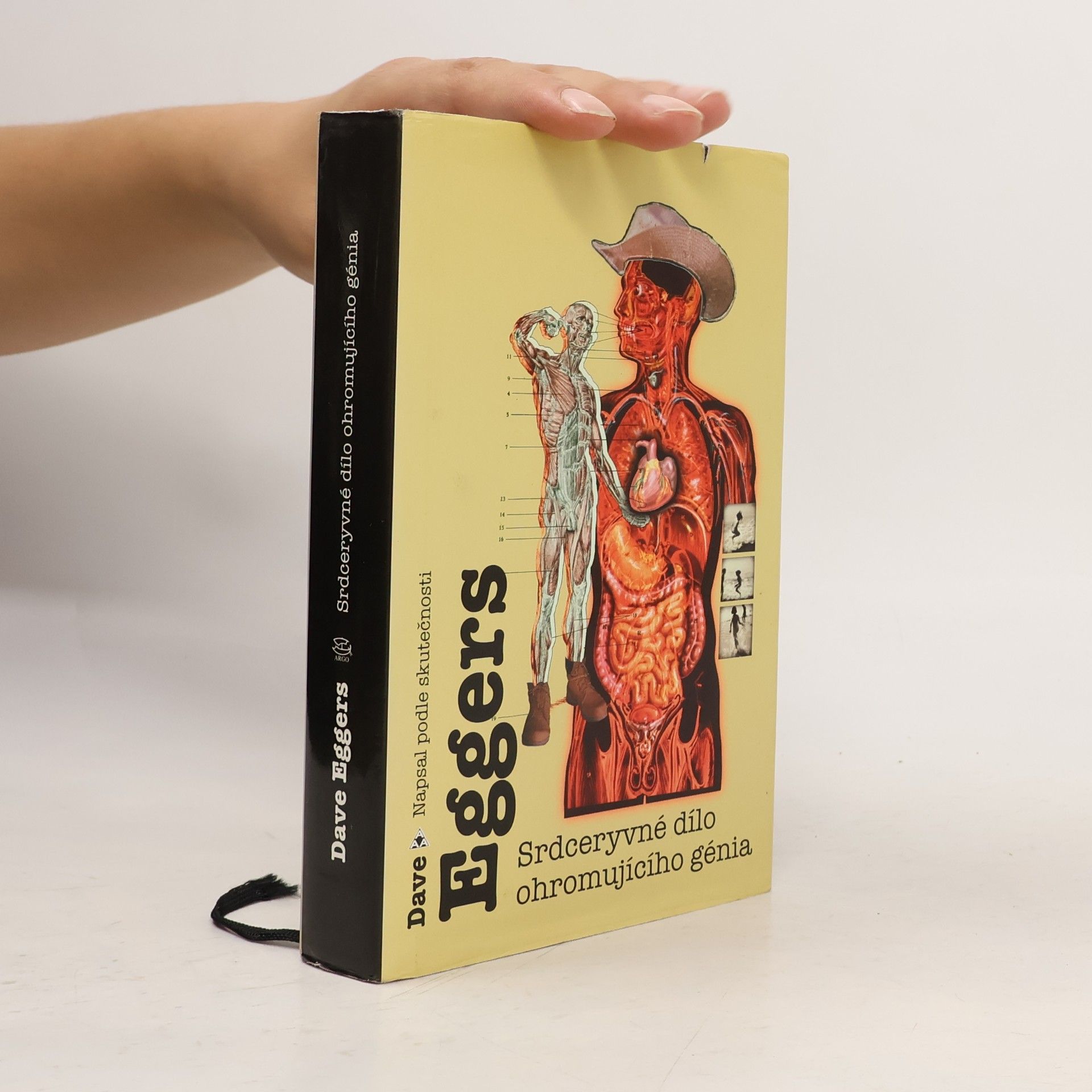 Dave Eggers Srdceryvné dílo ohromujícího génia
