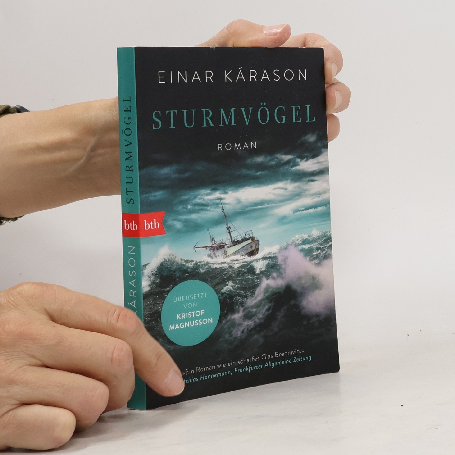 Einar Kárason Sturmvögel