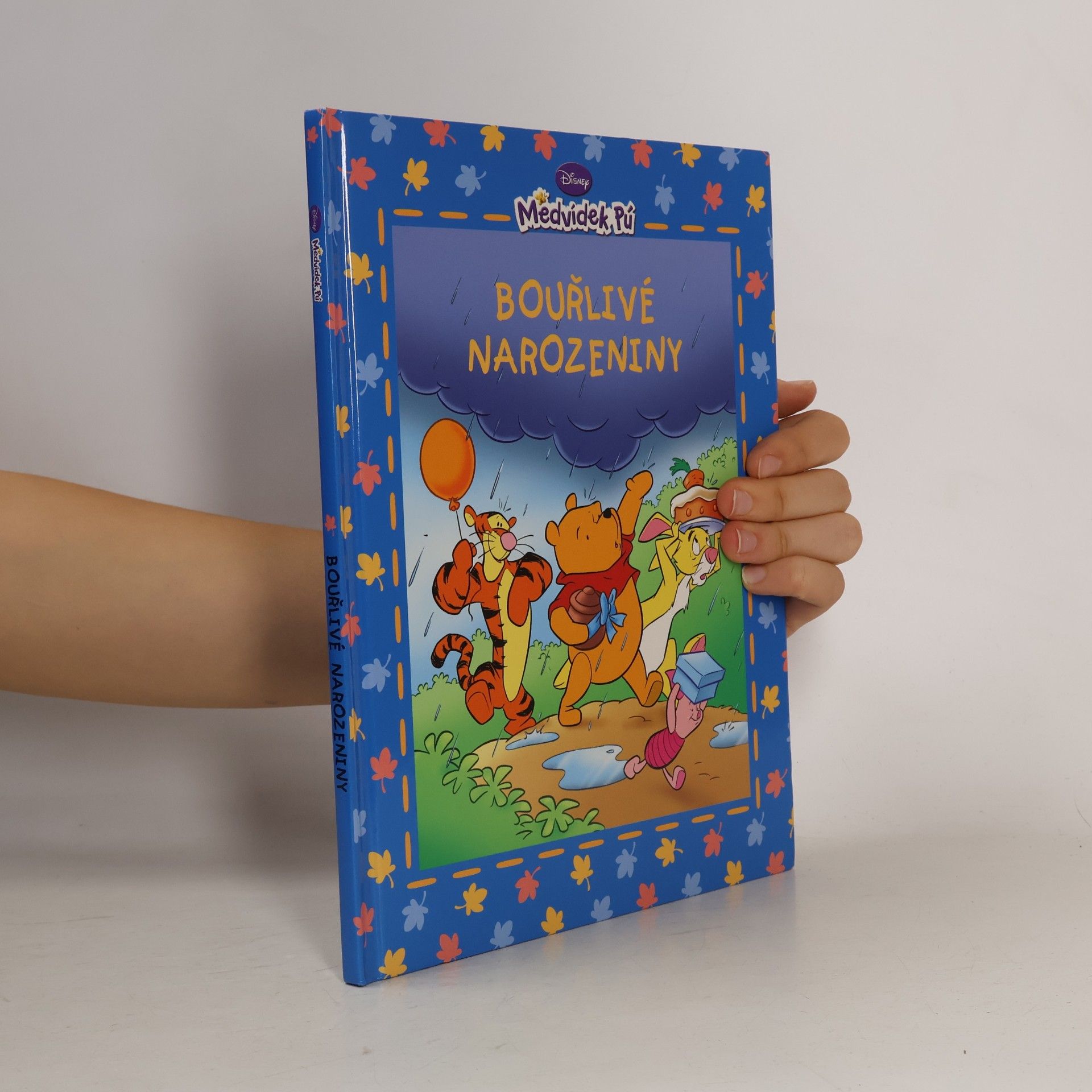 Medvídek Pú - Bouřlivé narozeniny