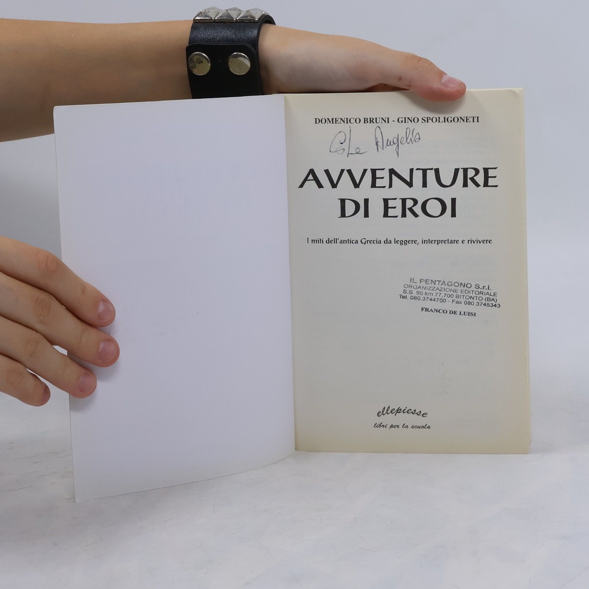 Domenico Bruni Avventure di Eroi