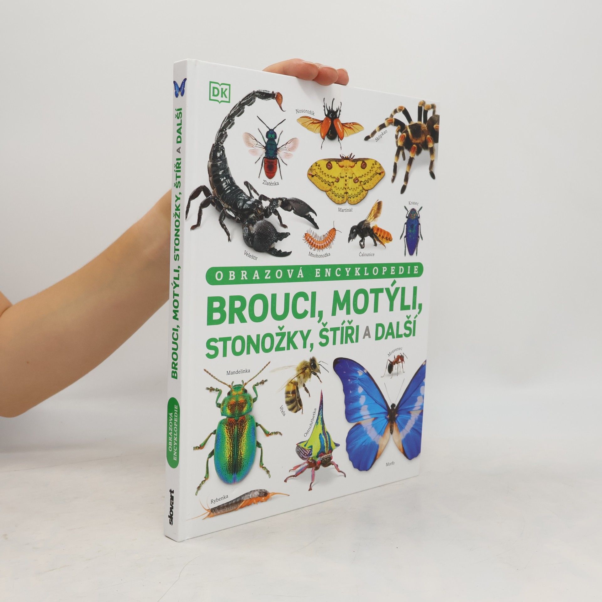 Brouci, motýli, stonožky, štíři a další (2026)