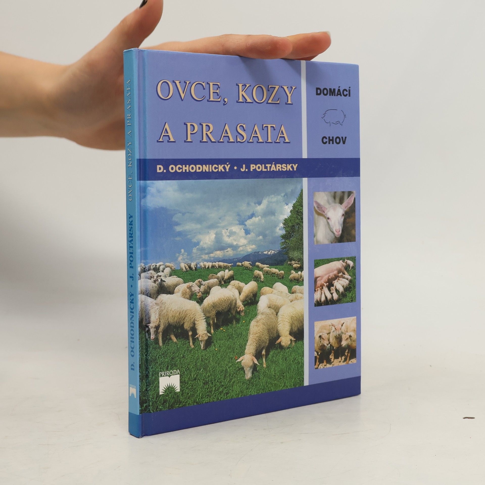 Kolektív autorov Ovce, kozy a prasata
