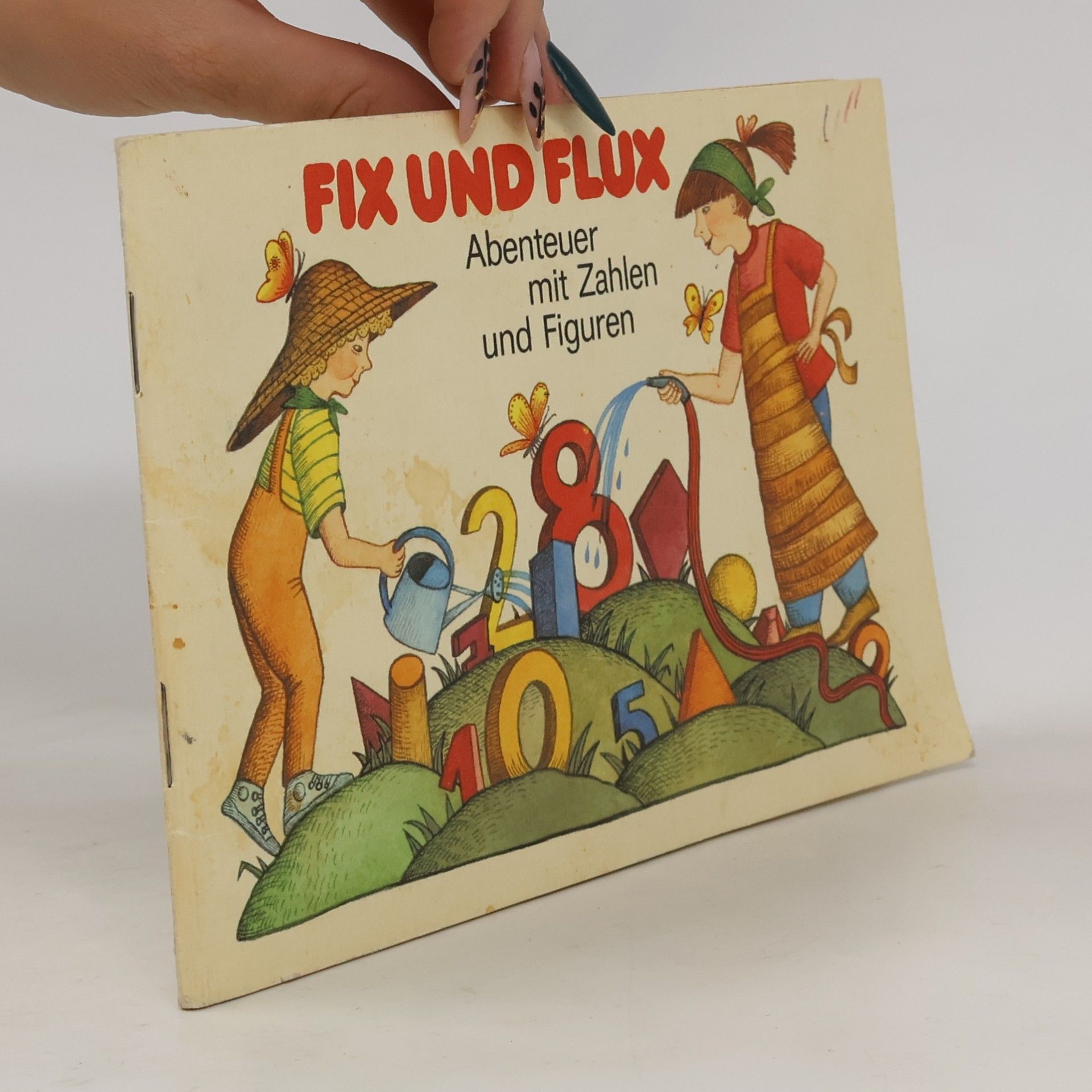 Fix und Flux