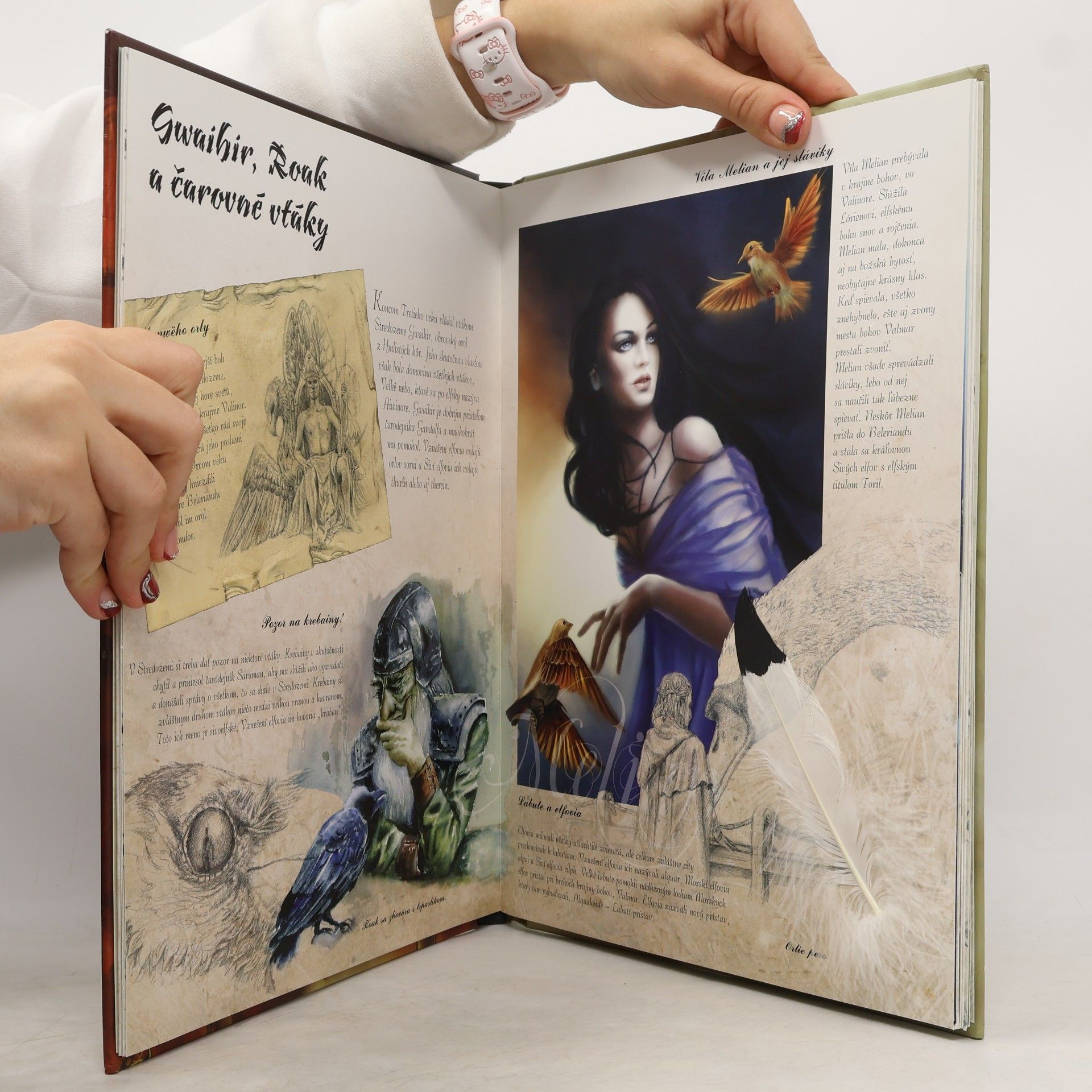 Édouard Kloczko Tolkien a jeho čarovný svet