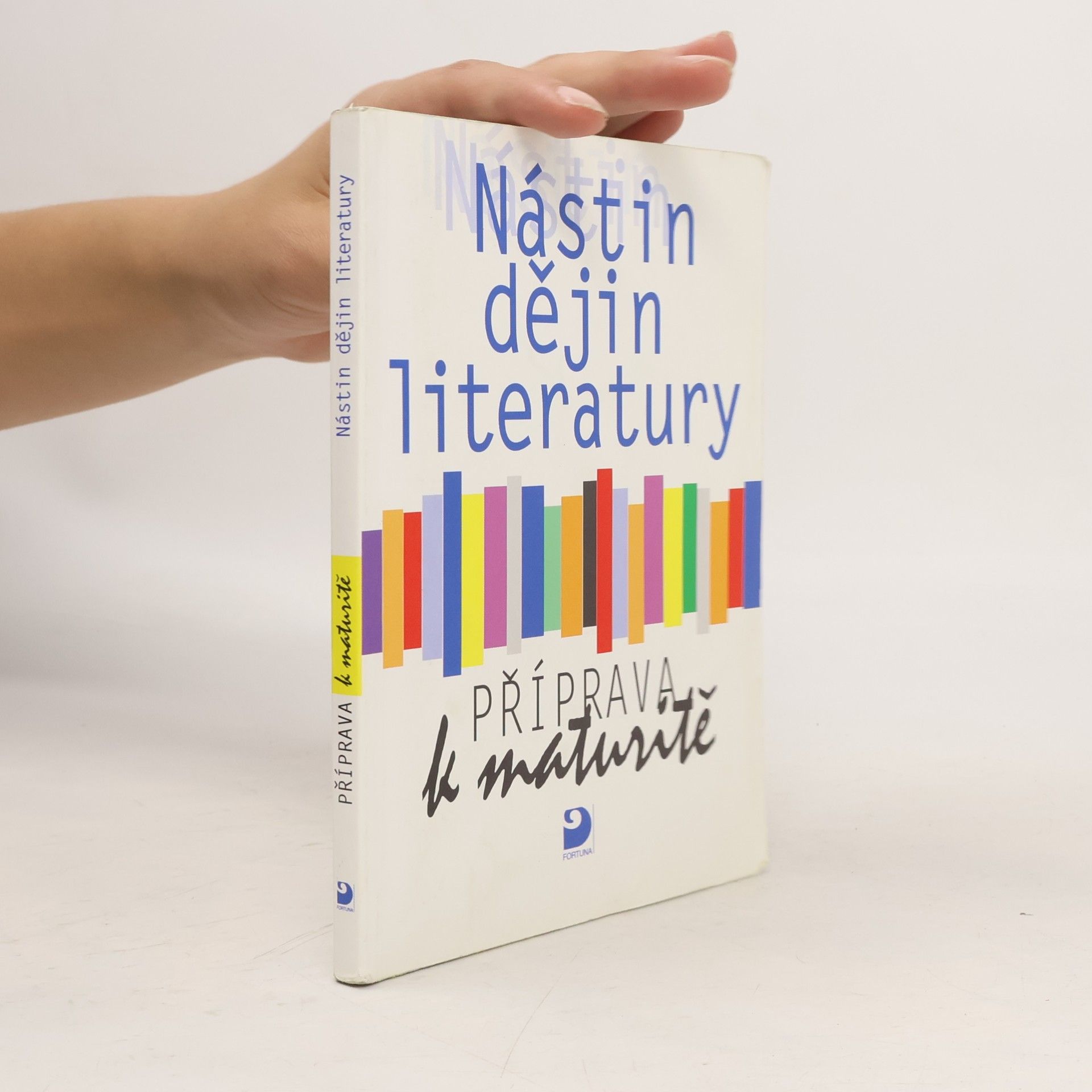 Nástin dějin literatury. Příprava k maturitě