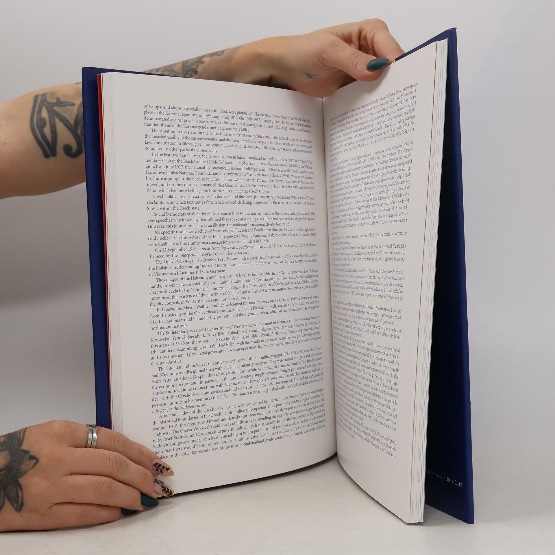 Autorenkollektiv Společné století Česko - Slovensko 1918-2018