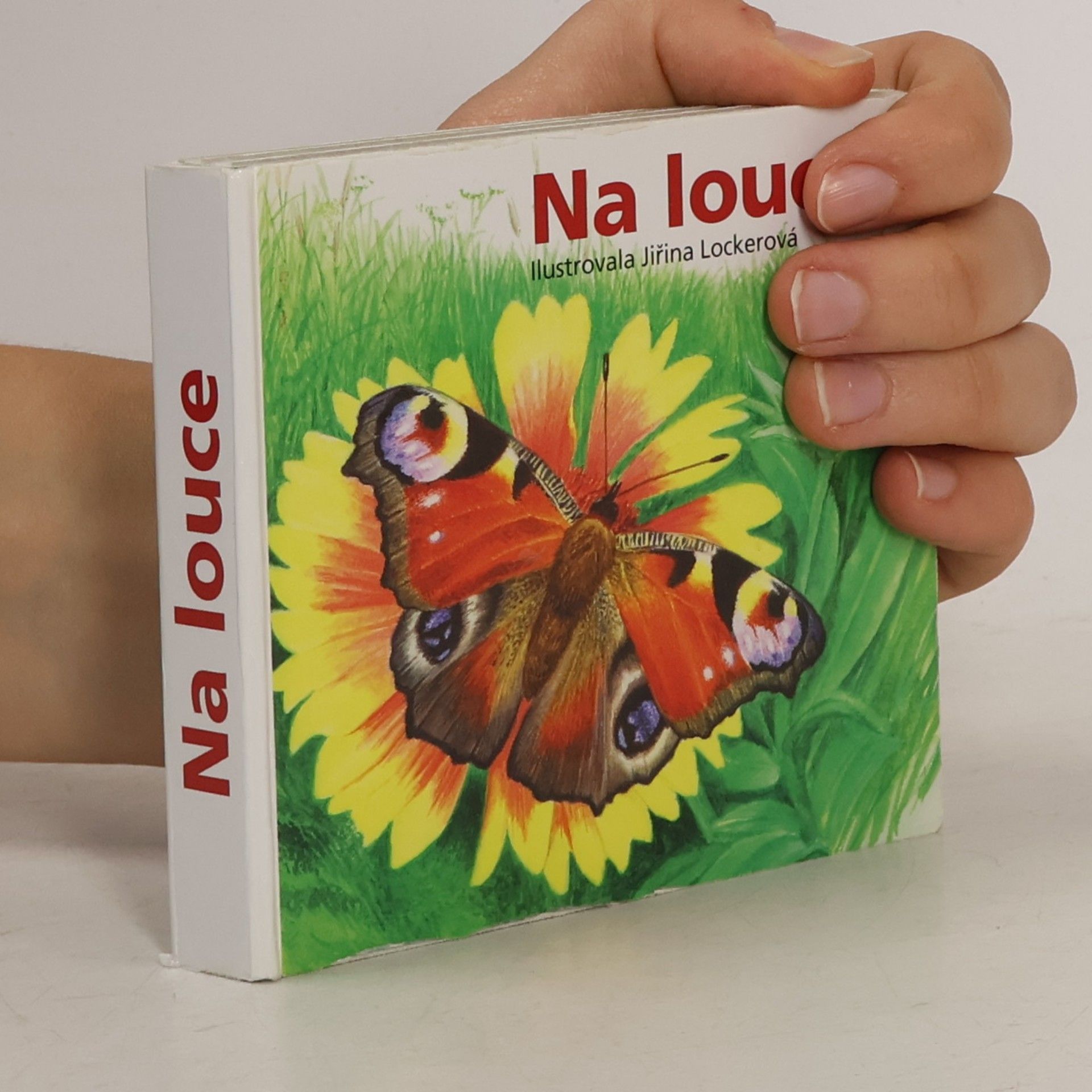 Jiřina Lockerová Na louce