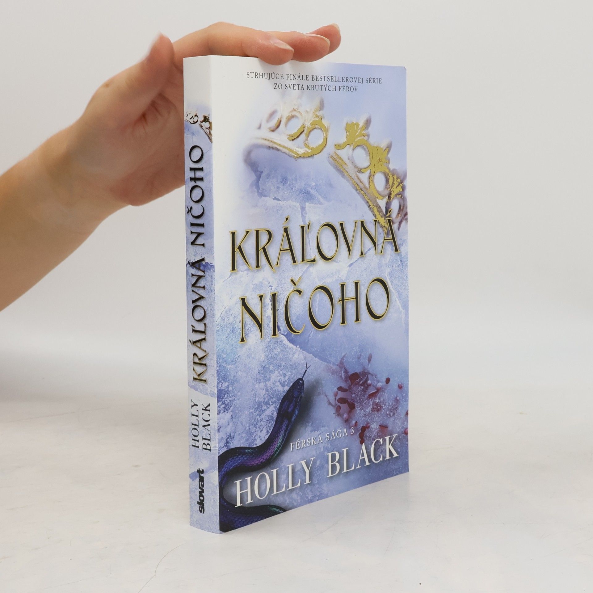 Holly Black Kráľovná ničoho