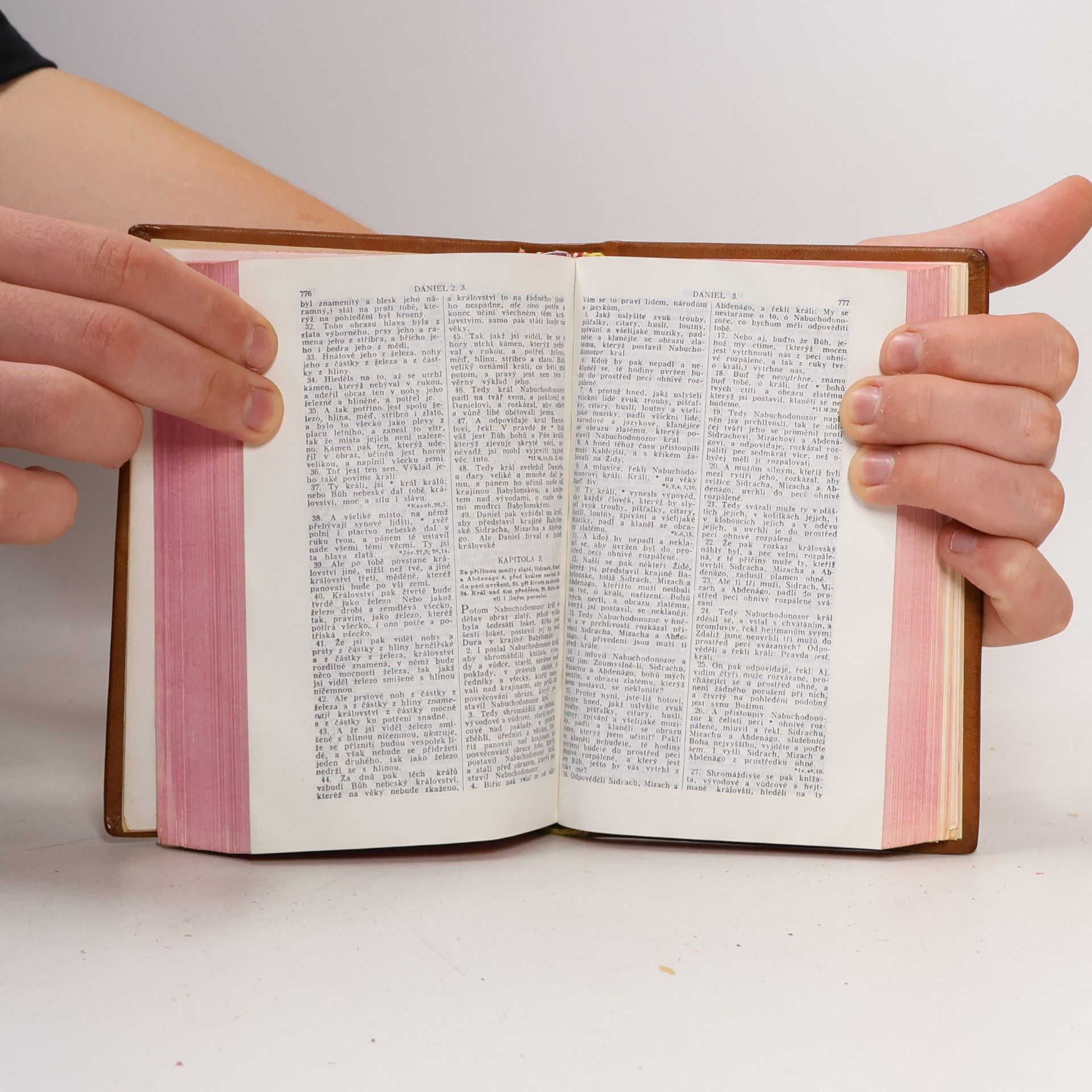 Various authors Bible svatá. Podle posledního vydání kralického z roku 1613