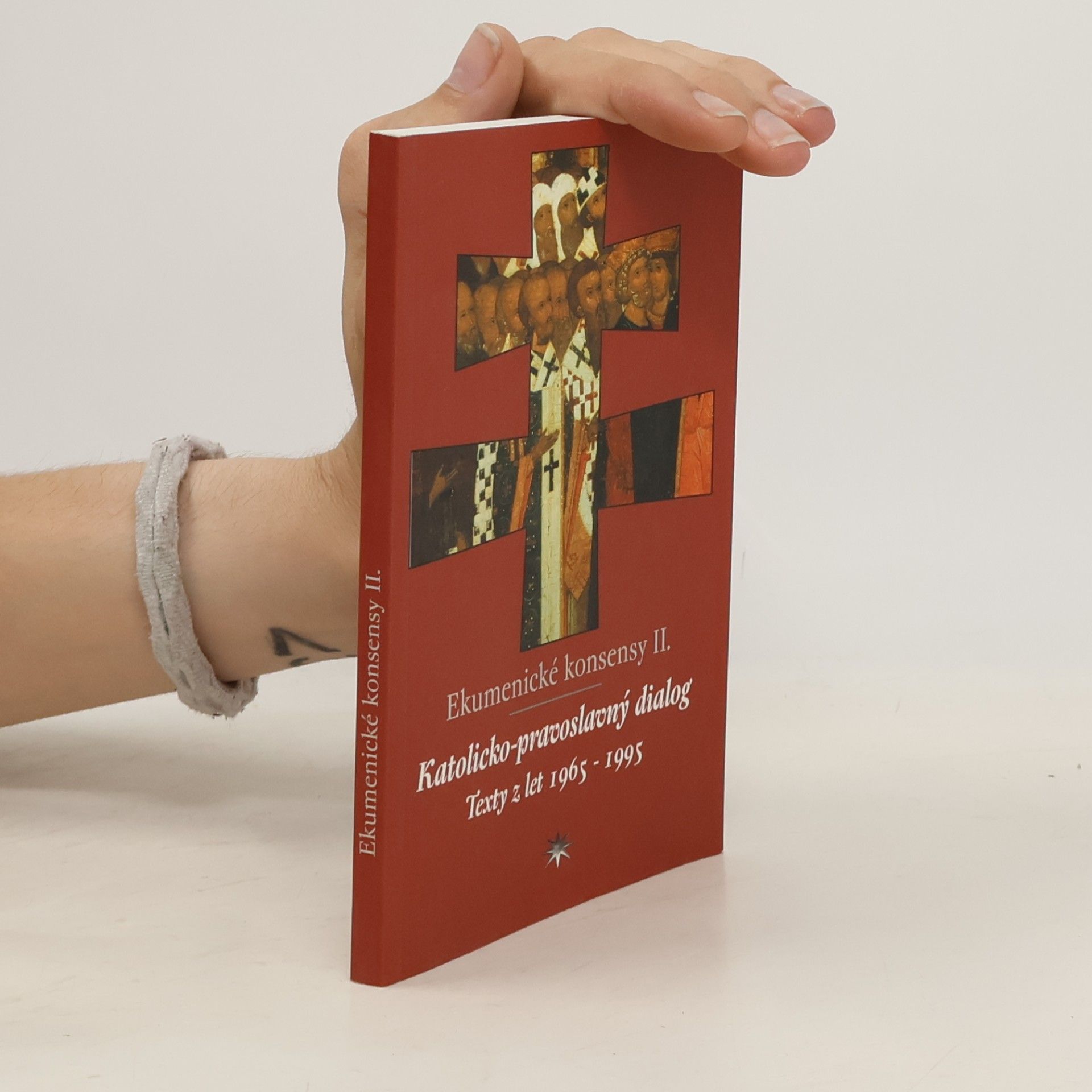 Kolektiv autorů Ekumenické konsensy II.