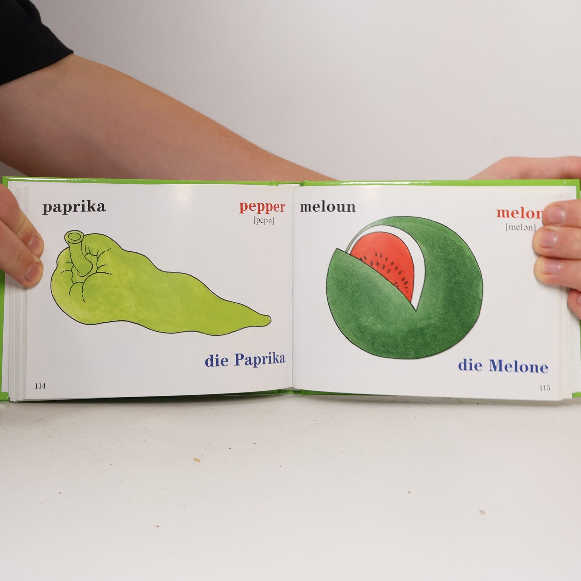 Edita Plicková Obrázkový slovník: česky - německy - anglicky