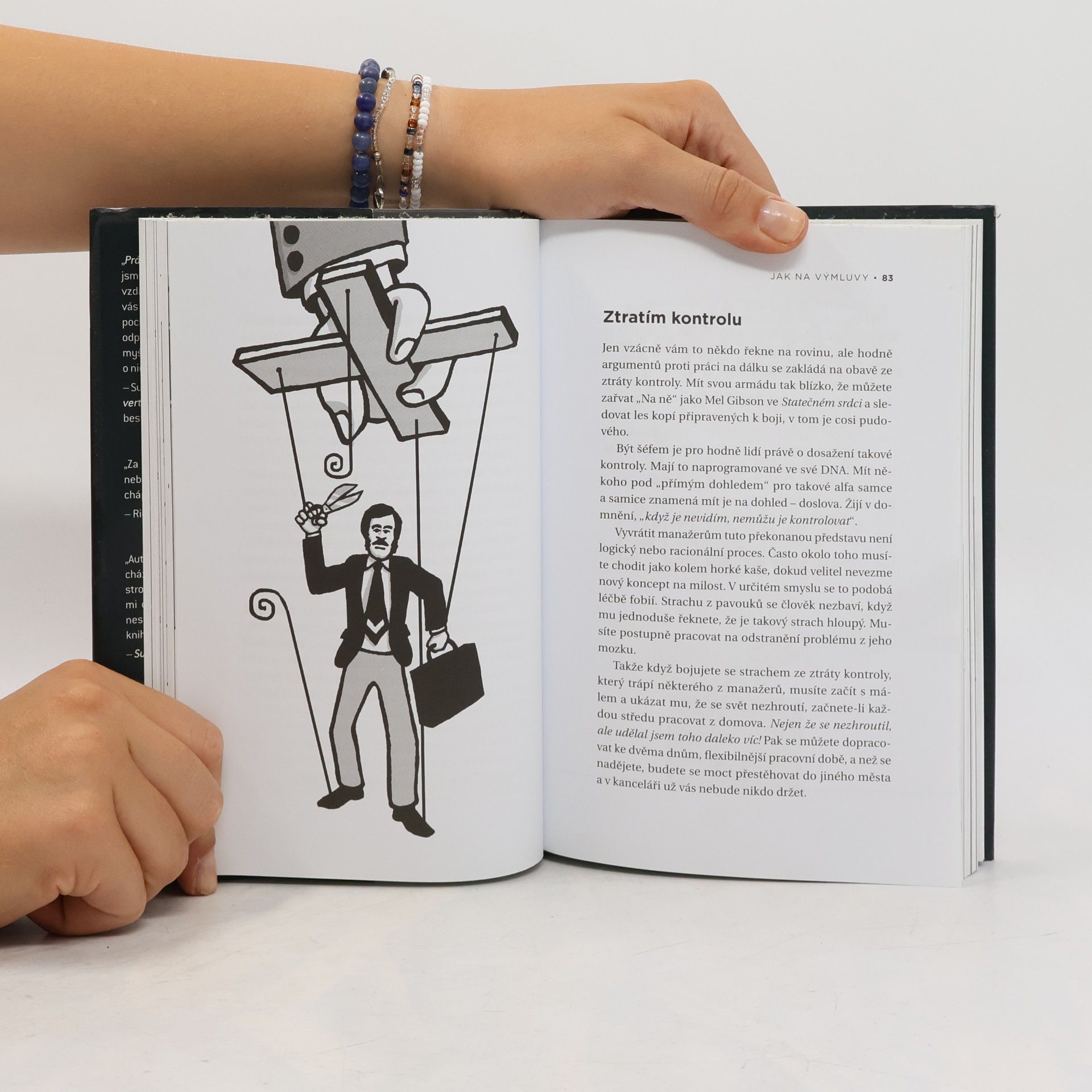 Jason Fried Práce na dálku