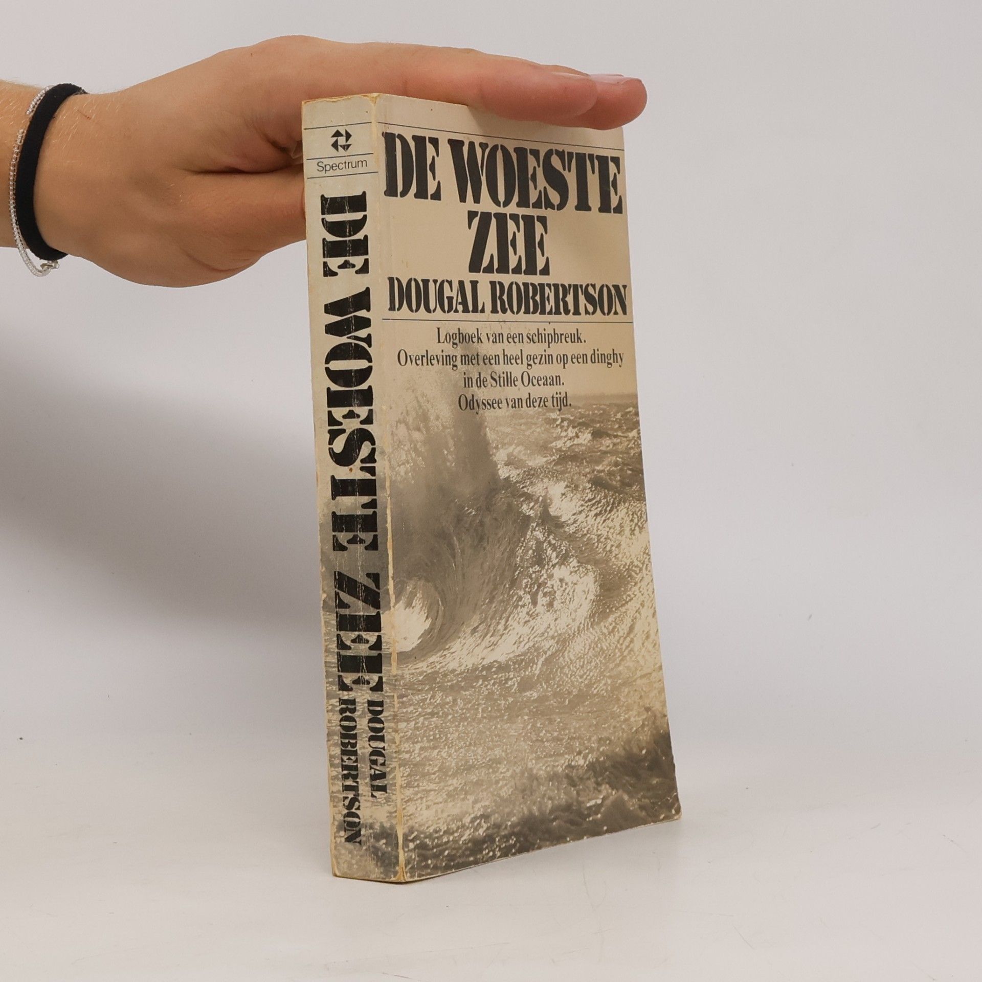 DE WOESTE ZEE