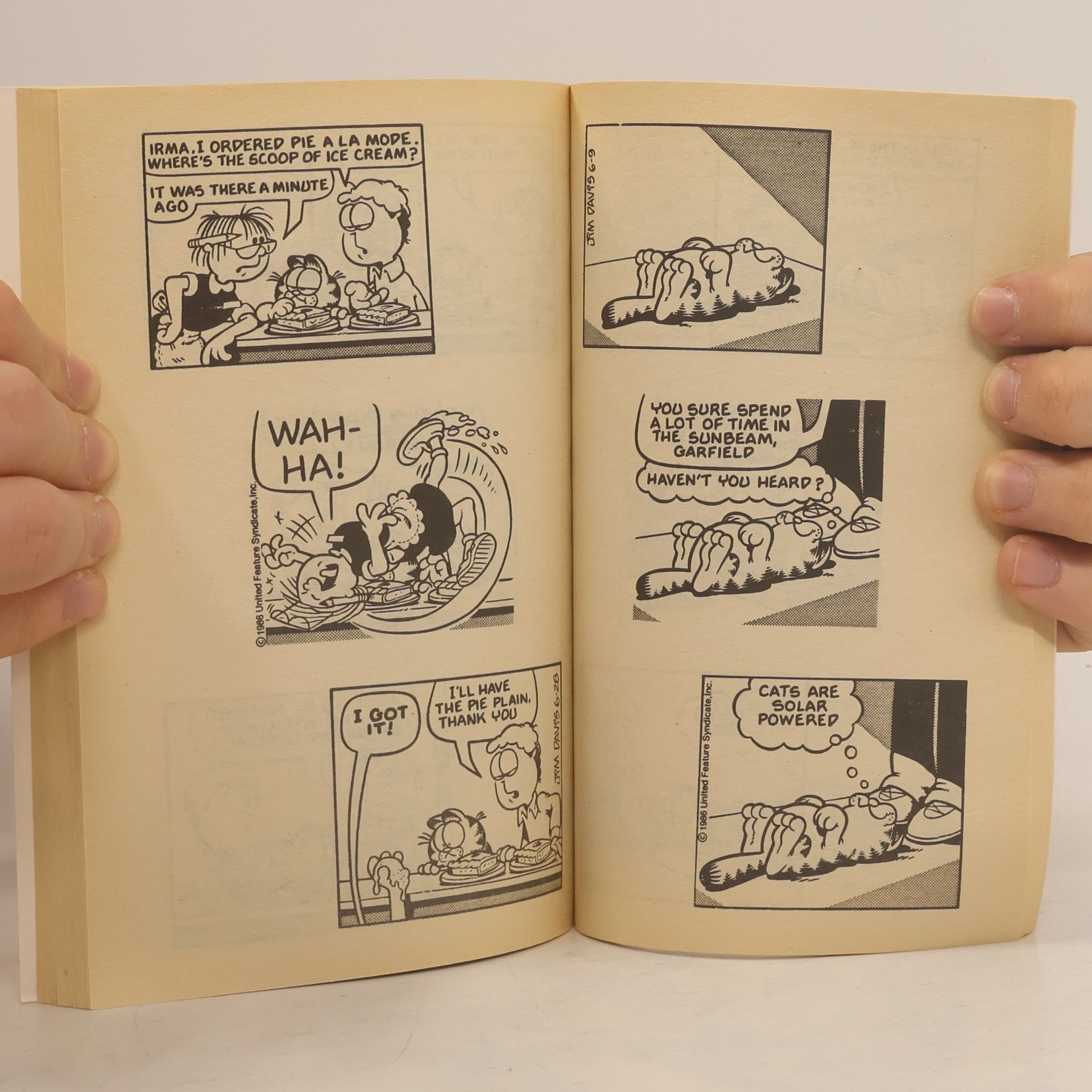 Jim Davis Garfield