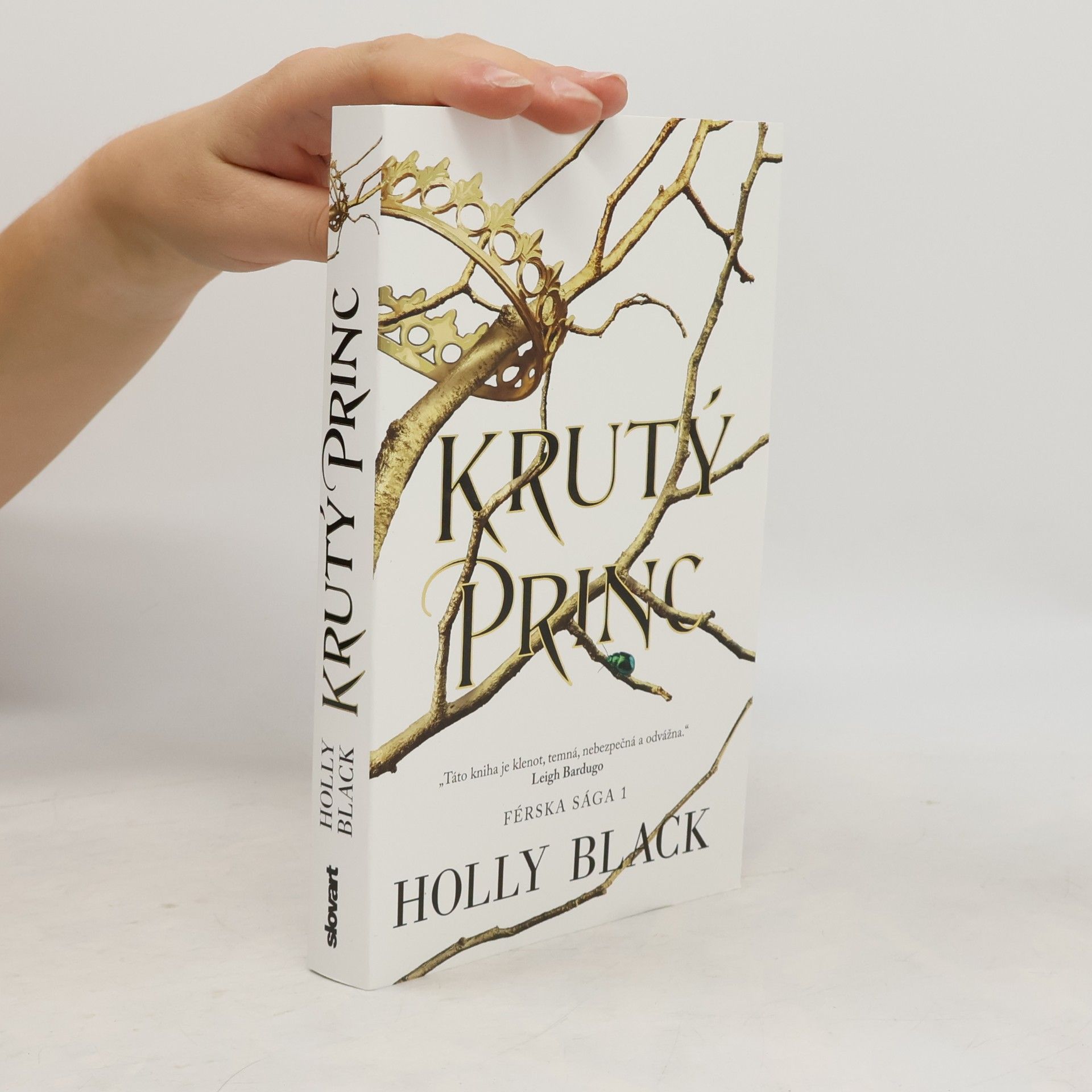 Holly Black Krutý princ