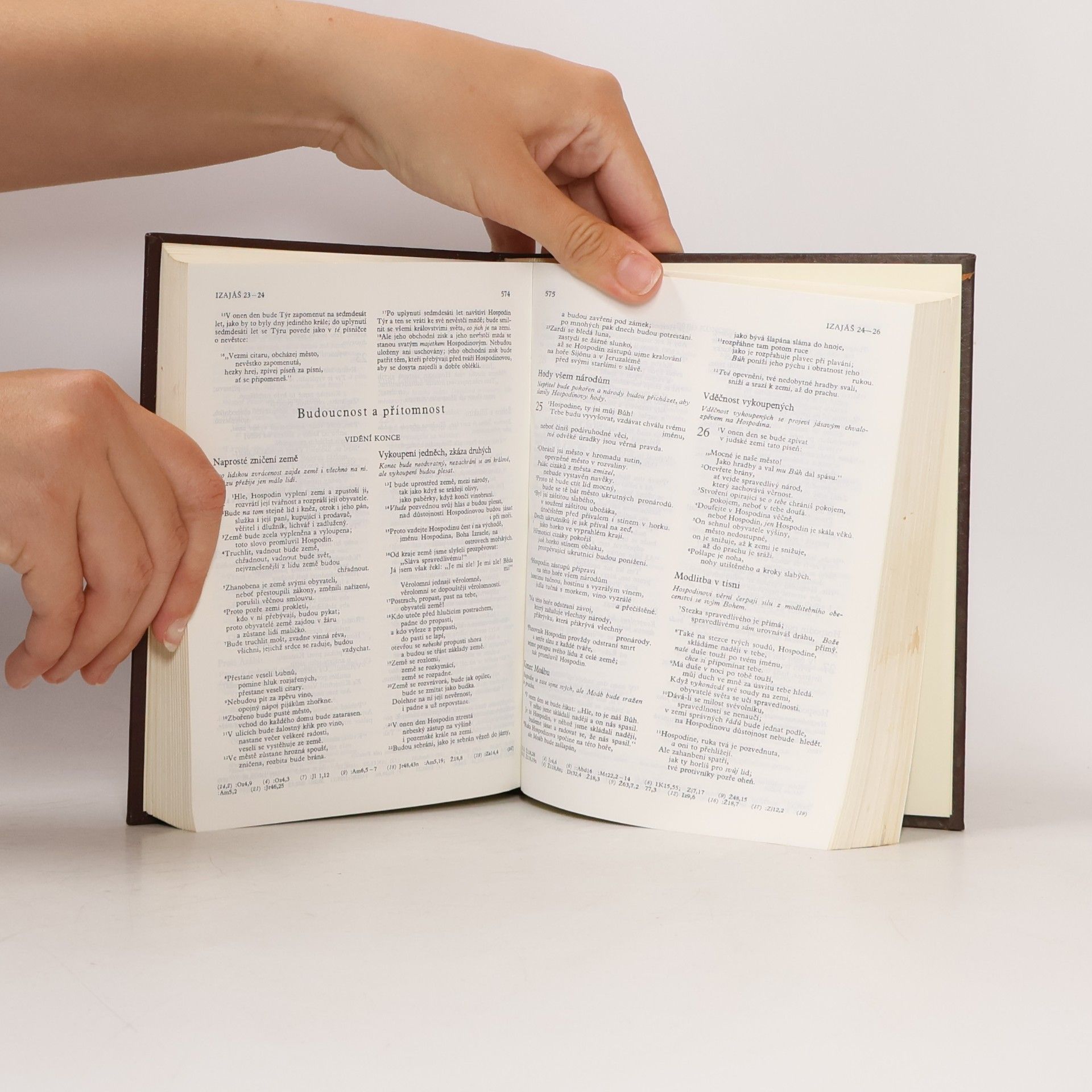 Autorenkollektiv Bible. Písmo svaté Starého i Nového zákona. Ekumenický překlad